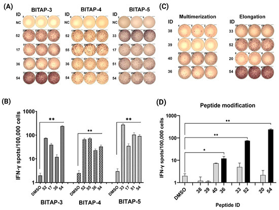 Improved Survival of a HER2-Positive Metastatic Breast Cancer Patient ...