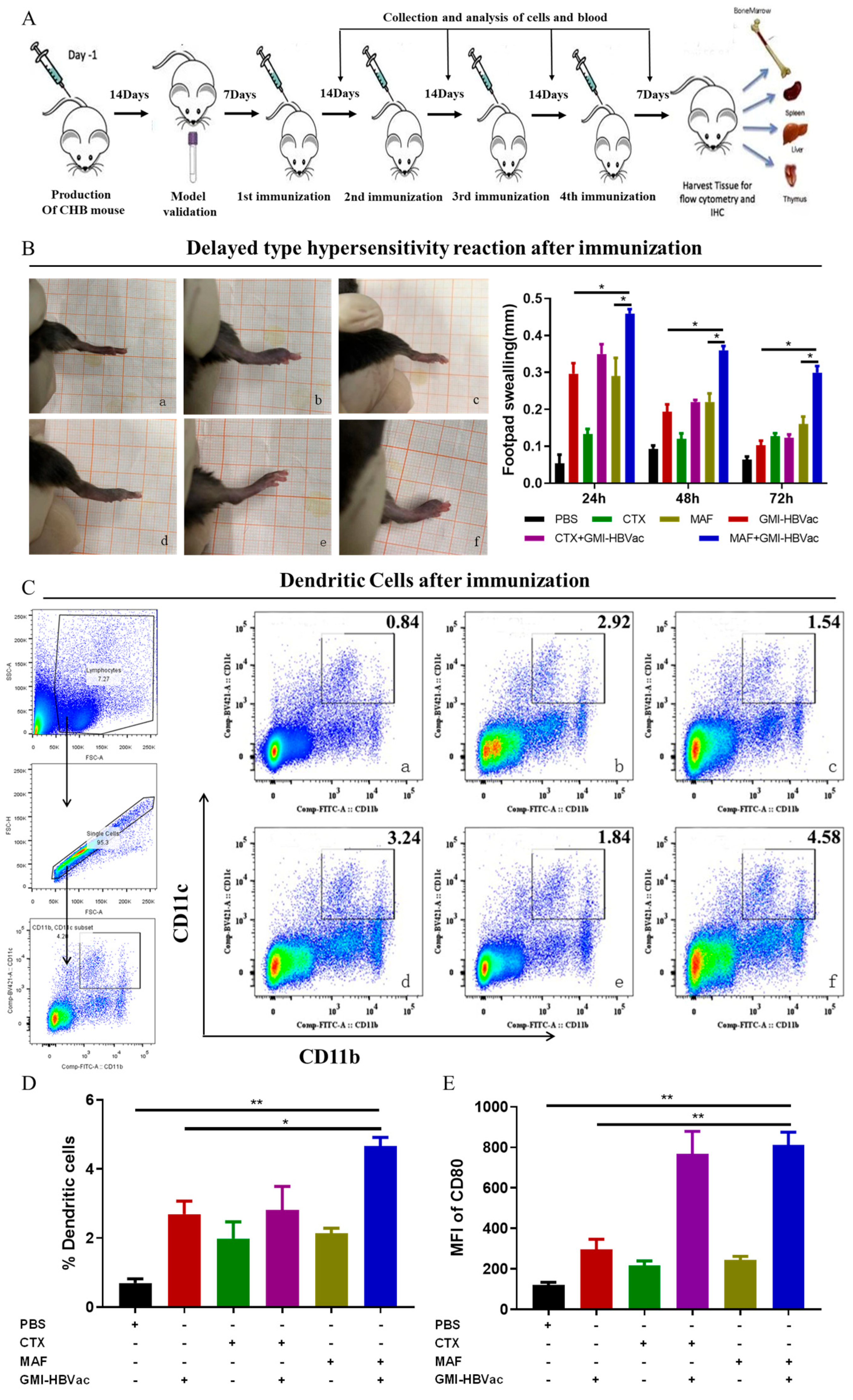 Vaccines 11 01026 g004 Vaccines 11 01026 g004