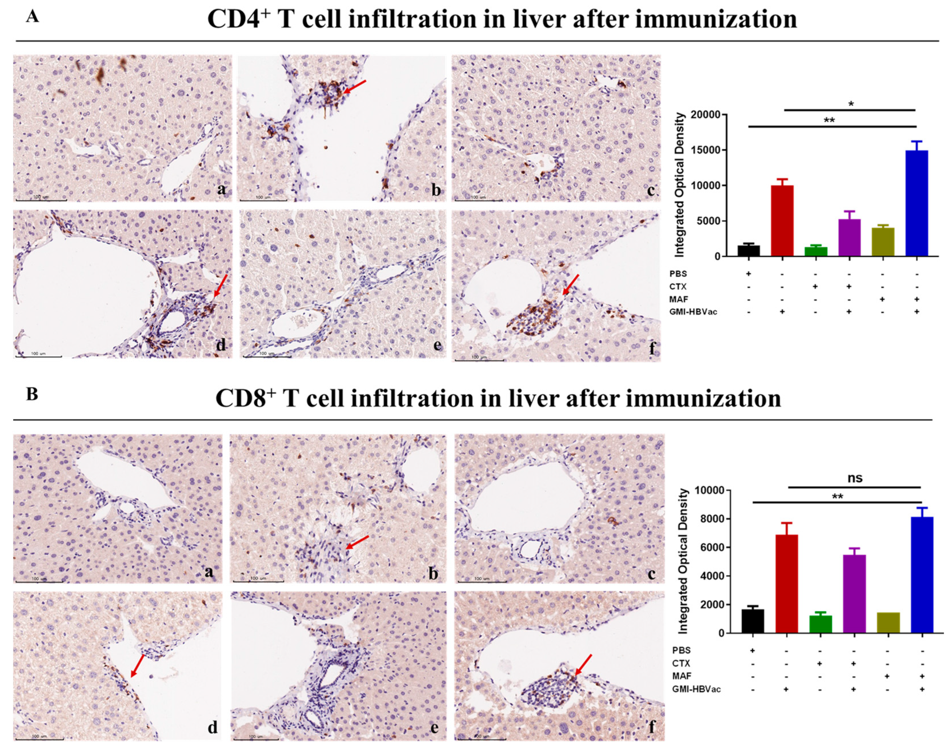 Vaccines 11 01026 g006 Vaccines 11 01026 g006