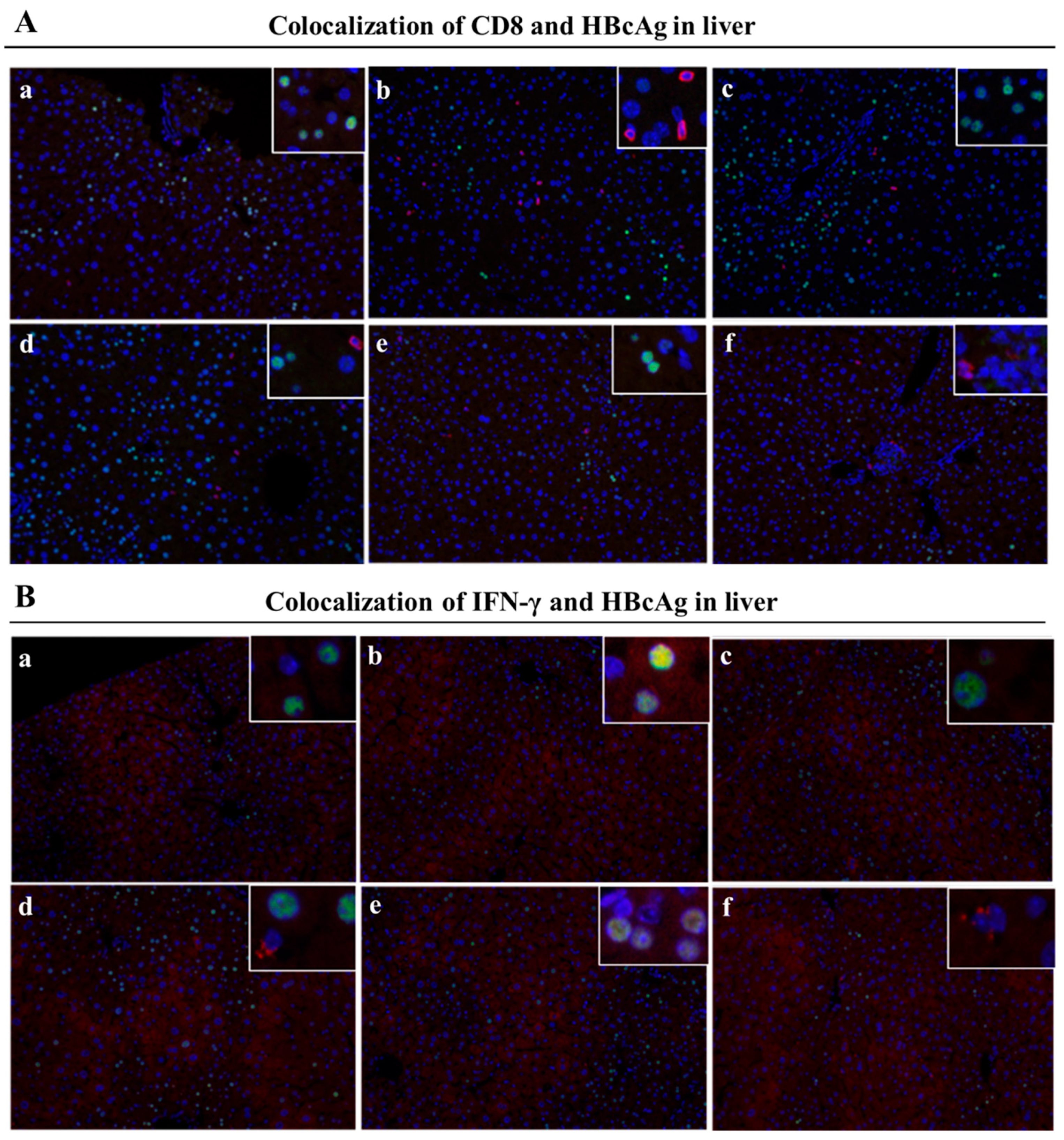 Vaccines 11 01026 g007 Vaccines 11 01026 g007