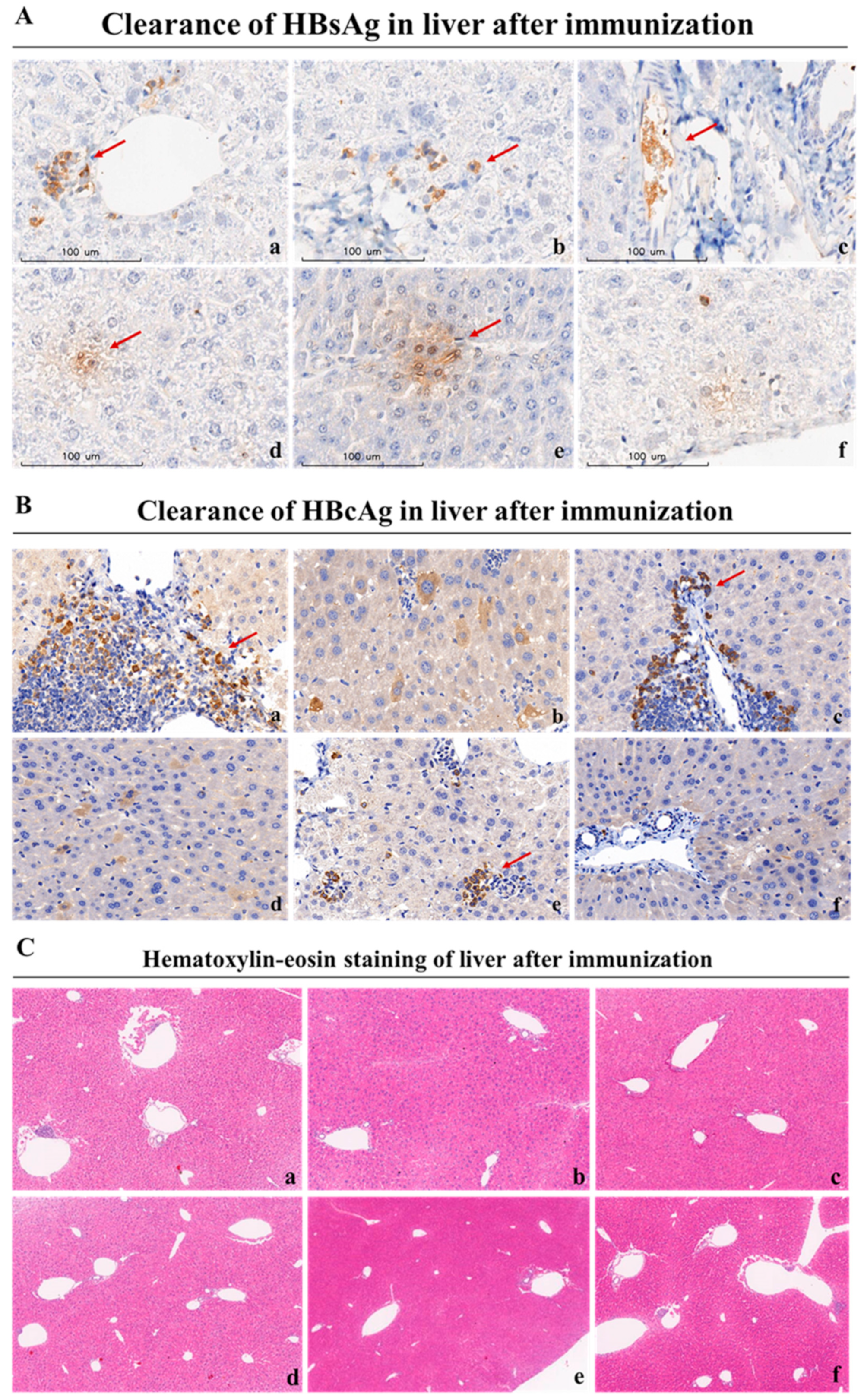 Vaccines 11 01026 g008 Vaccines 11 01026 g008