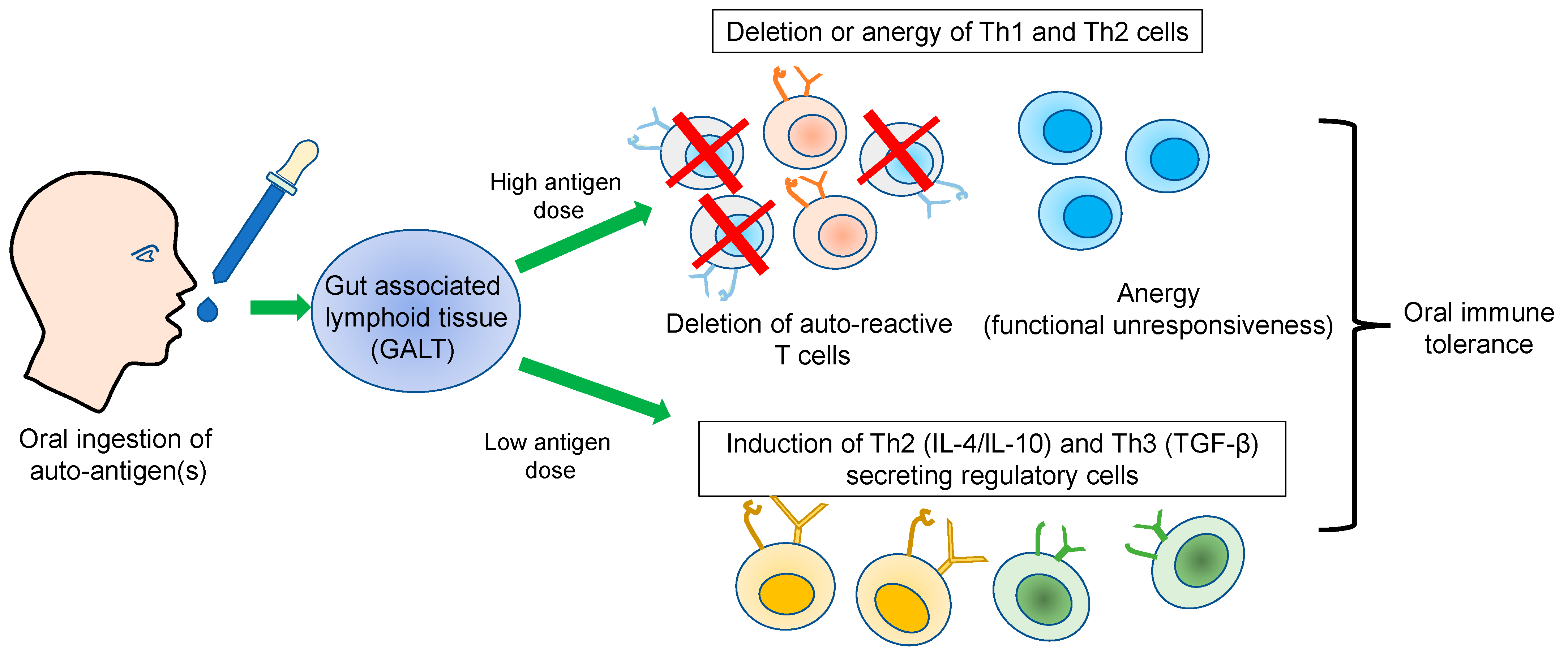 Vaccines 11 01031 g001 Vaccines 11 01031 g001