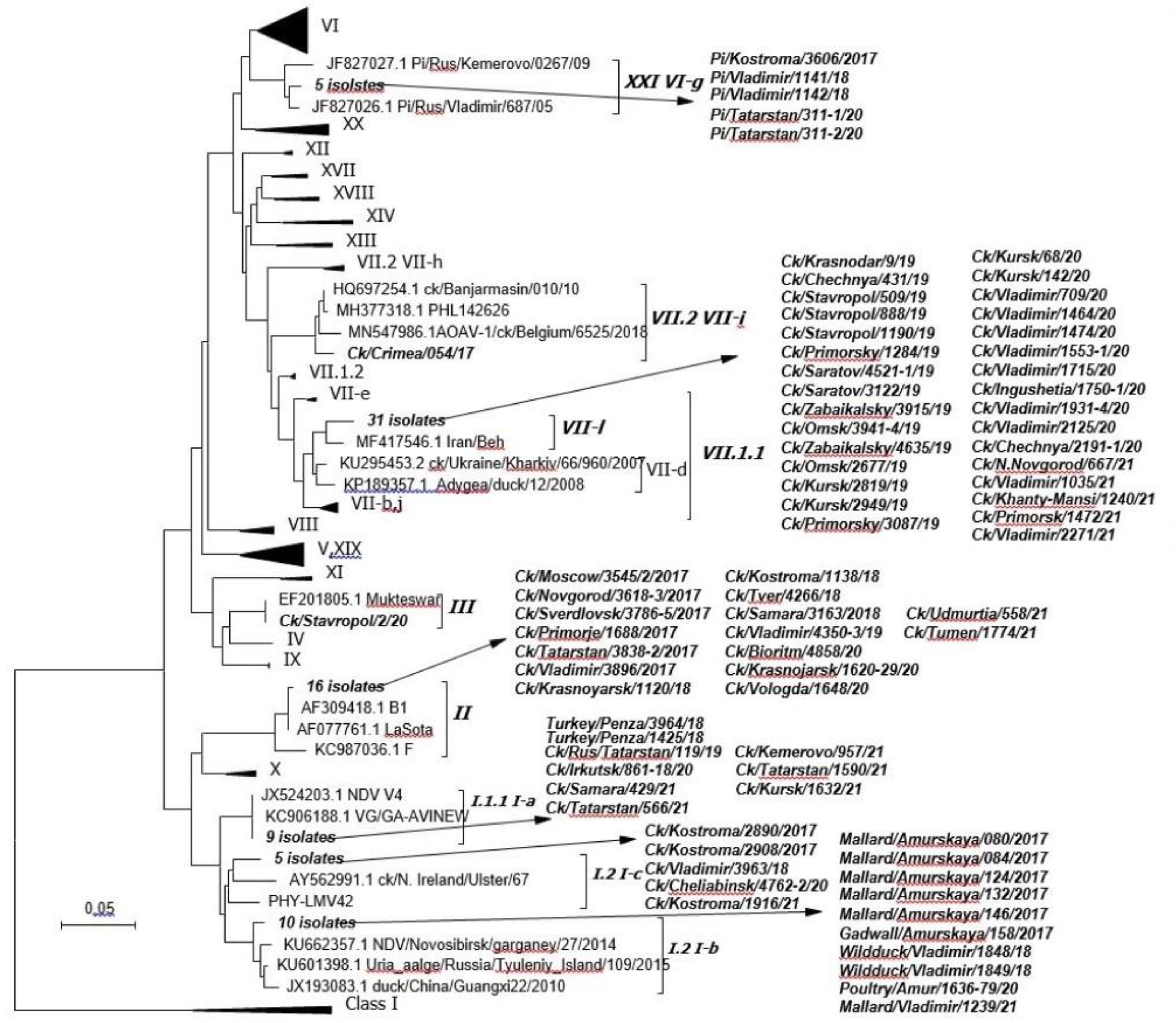 Vaccines 11 01032 g002 Vaccines 11 01032 g002