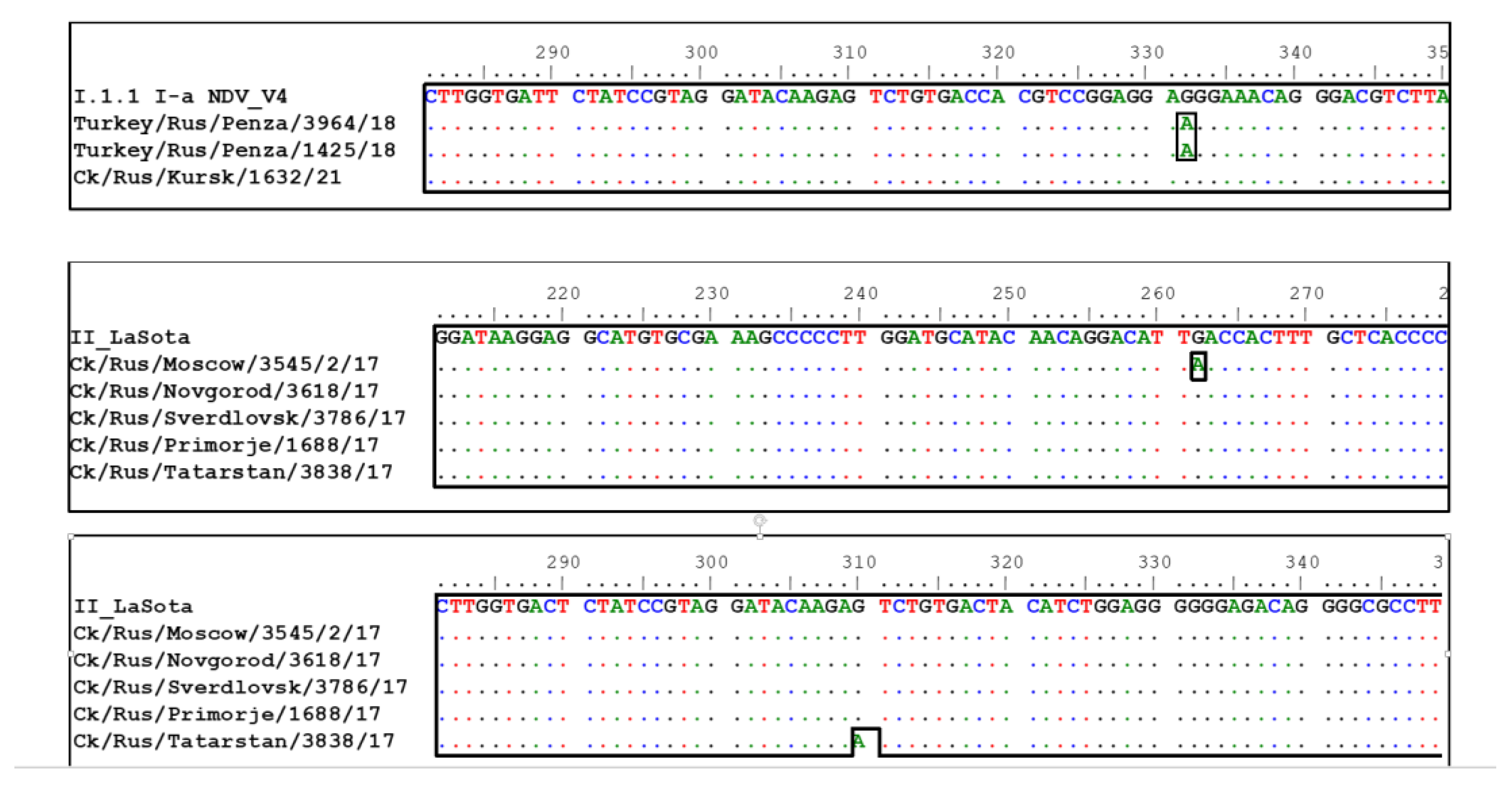 Vaccines 11 01032 g003 Vaccines 11 01032 g003