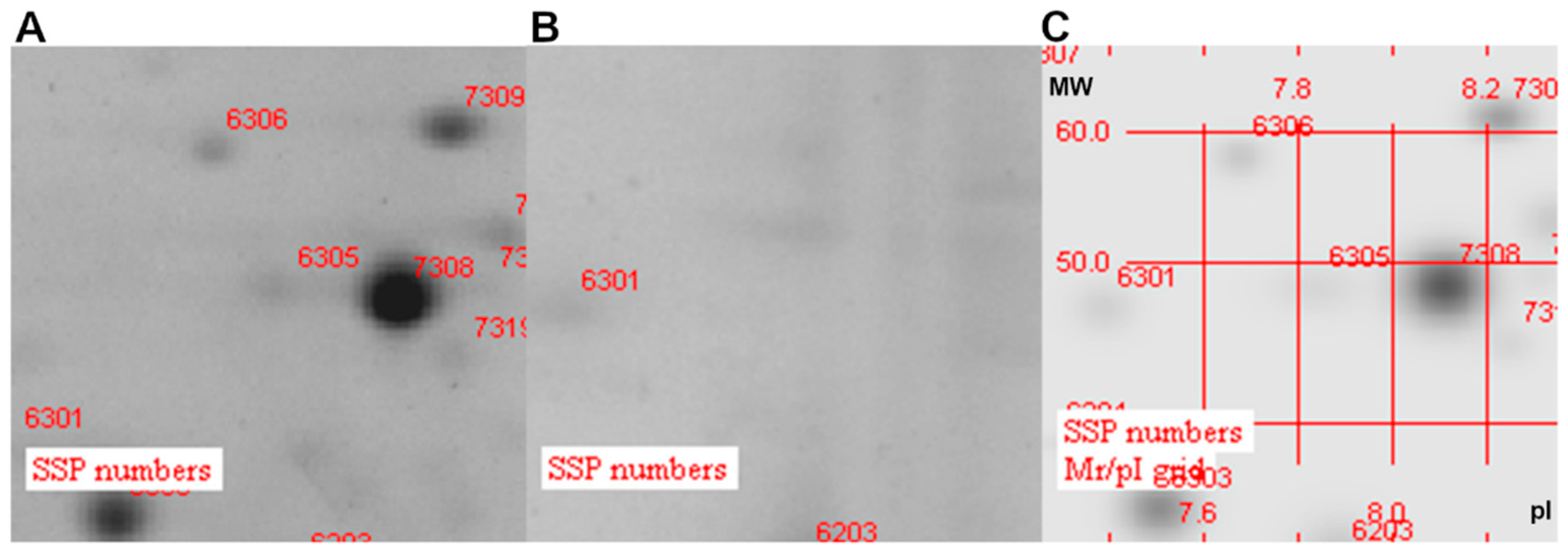 Vaccines 11 01039 g002 Vaccines 11 01039 g002