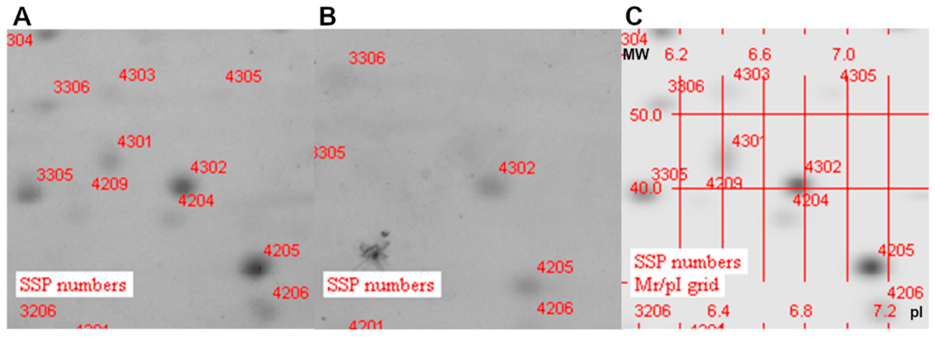 Vaccines 11 01039 g003 Vaccines 11 01039 g003