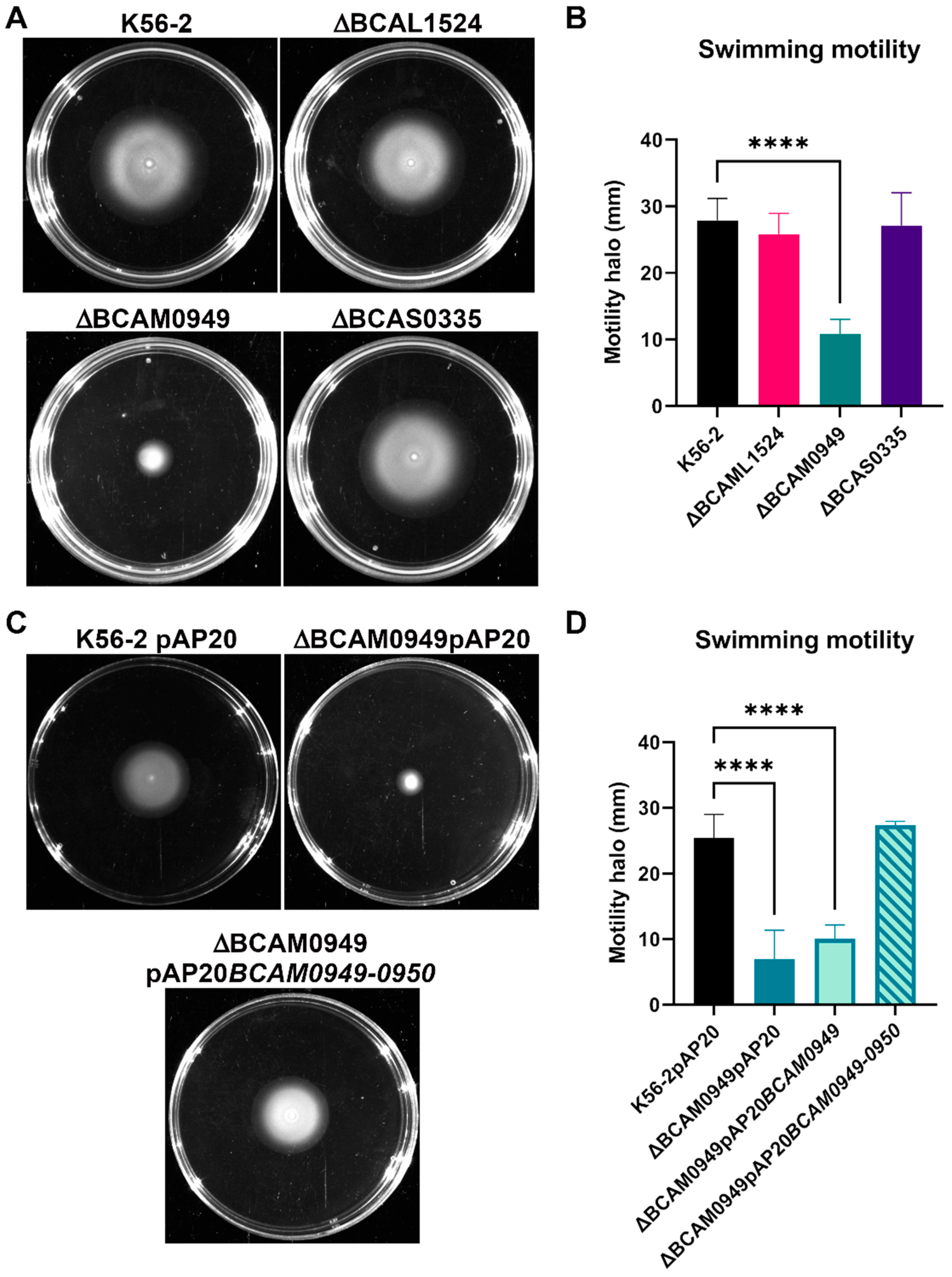 Vaccines 11 01039 g008 Vaccines 11 01039 g008