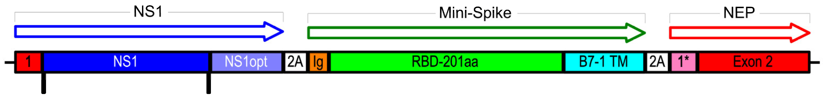 Vaccines 11 01063 g001 Vaccines 11 01063 g001