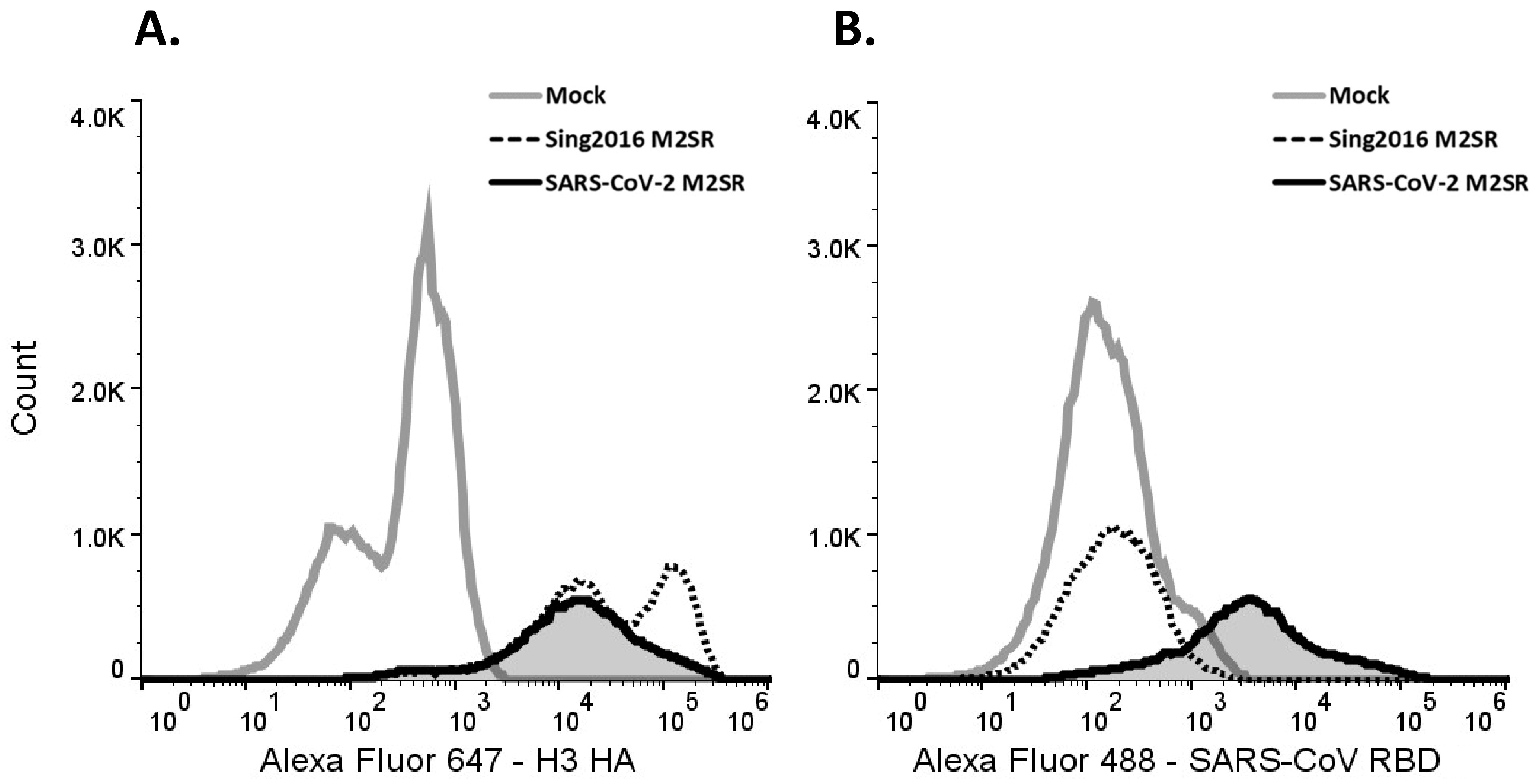 Vaccines 11 01063 g005 Vaccines 11 01063 g005