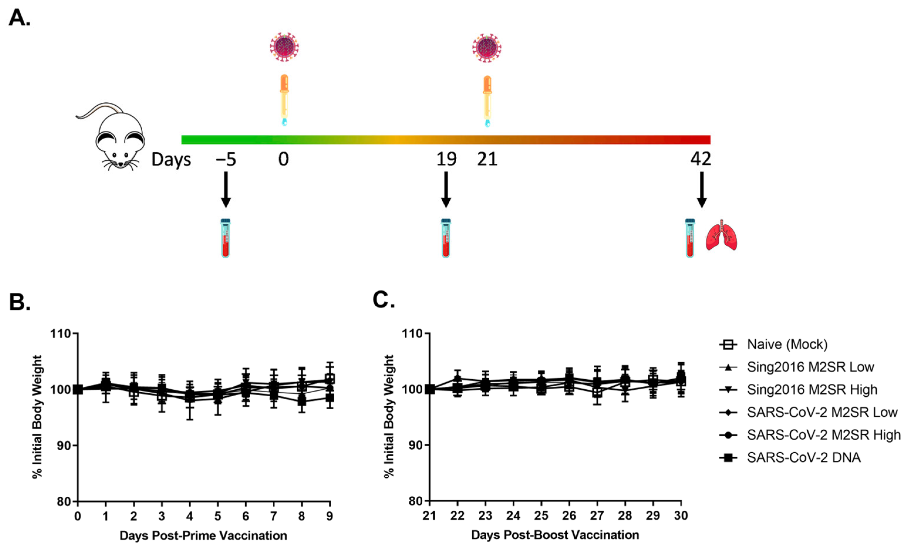 Vaccines 11 01063 g006 Vaccines 11 01063 g006