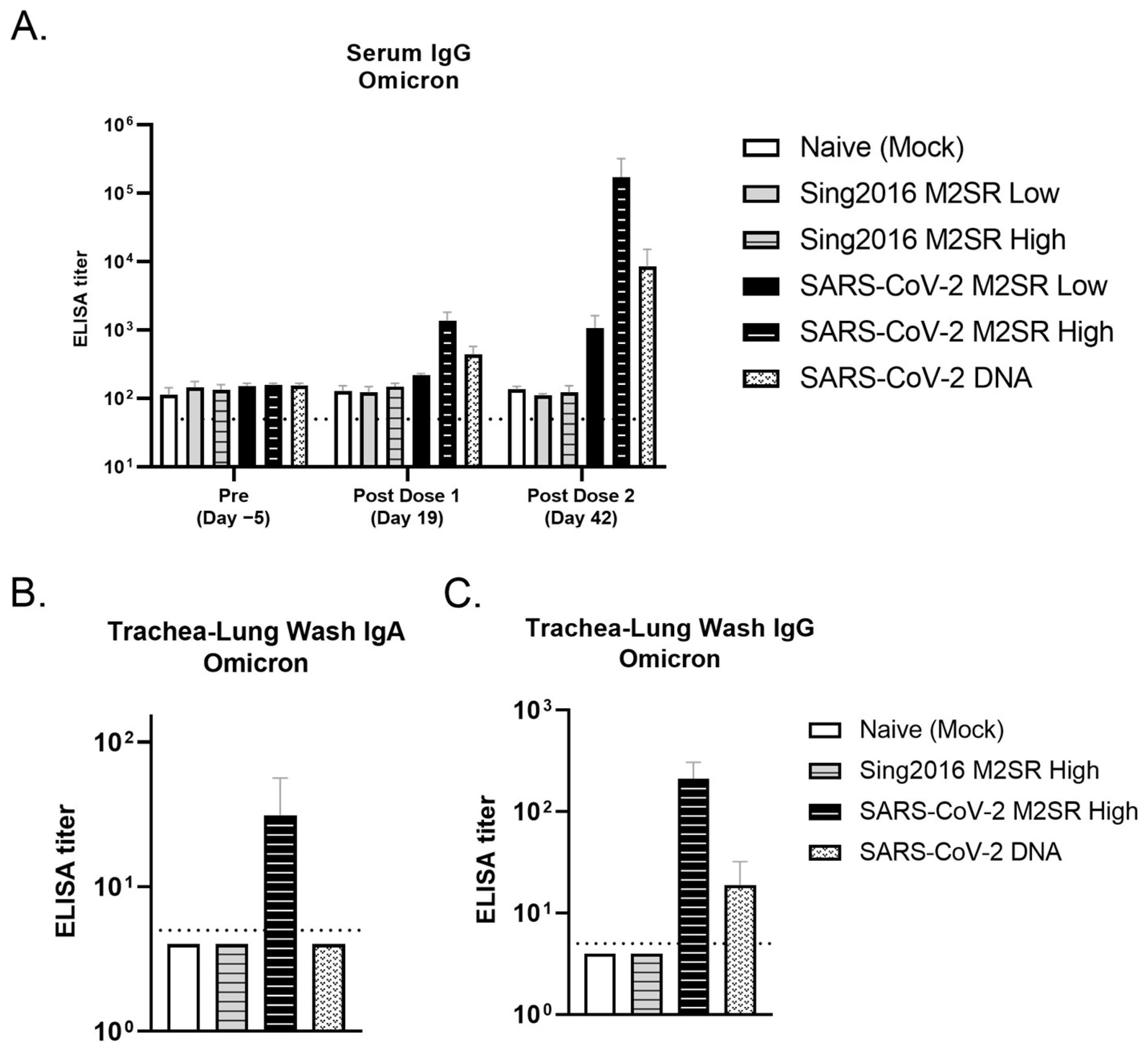 Vaccines 11 01063 g010 Vaccines 11 01063 g010