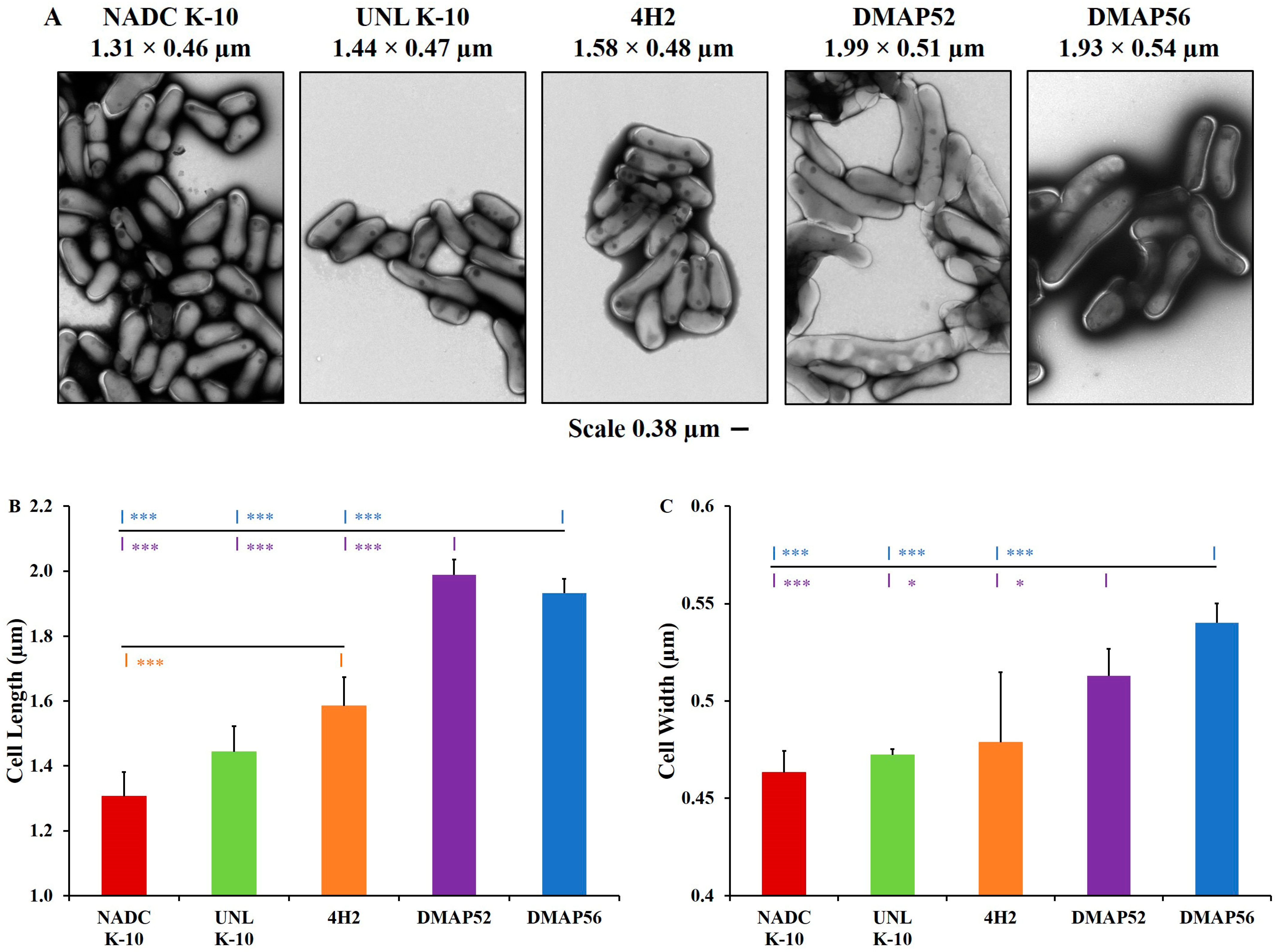 Vaccines 11 01085 g002 Vaccines 11 01085 g002