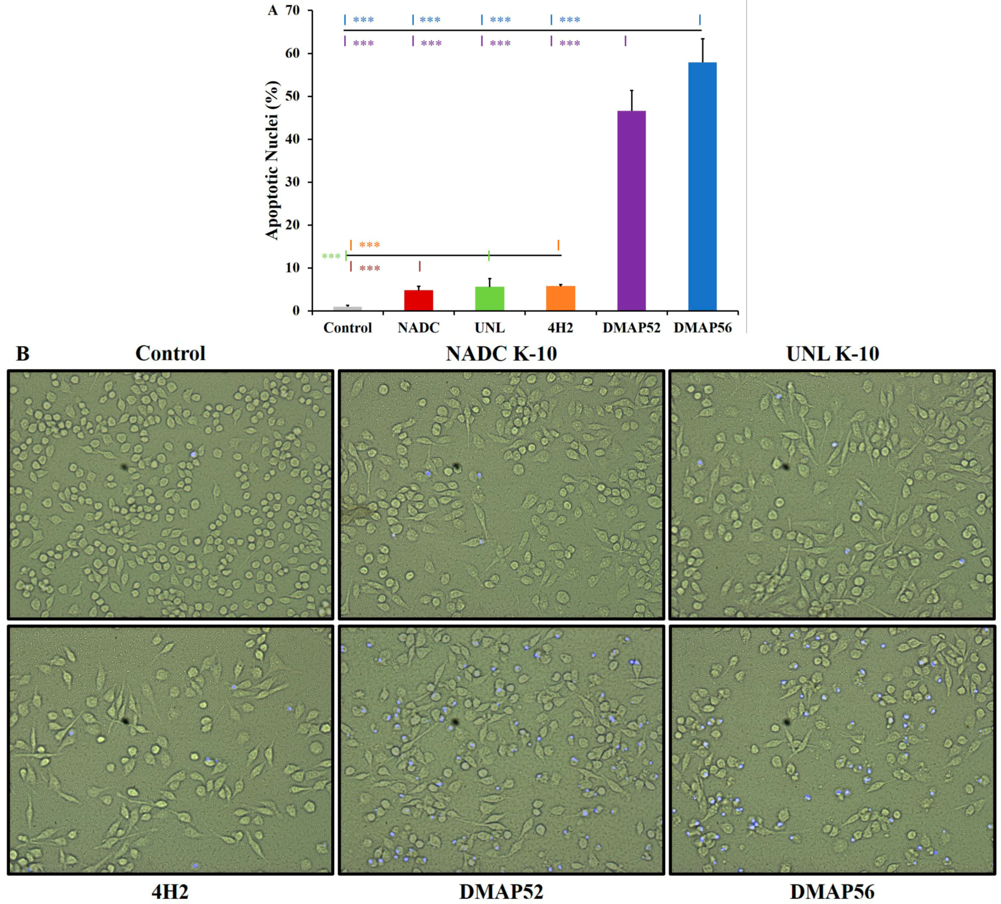 Vaccines 11 01085 g004 Vaccines 11 01085 g004