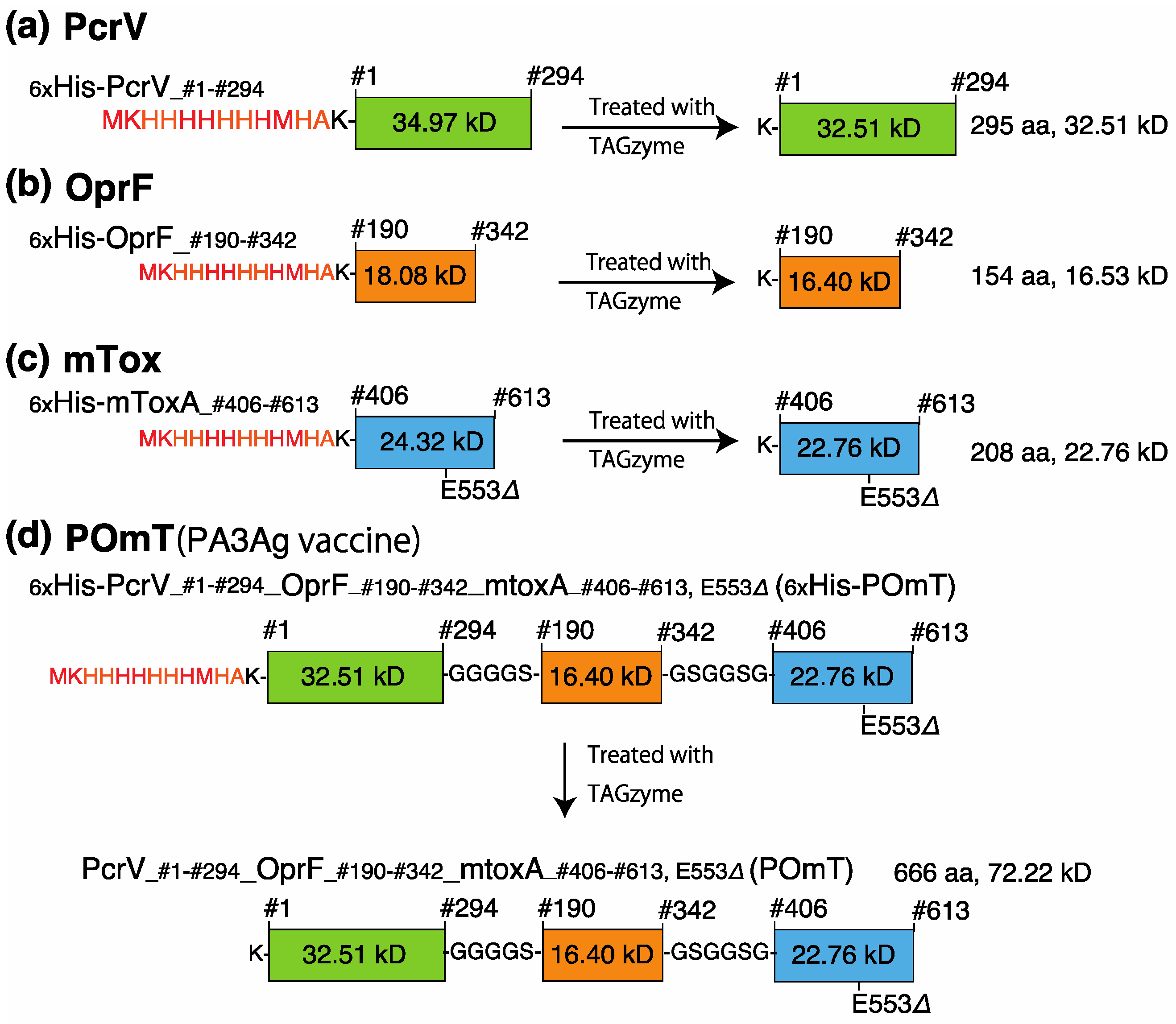 Vaccines 11 01088 g001