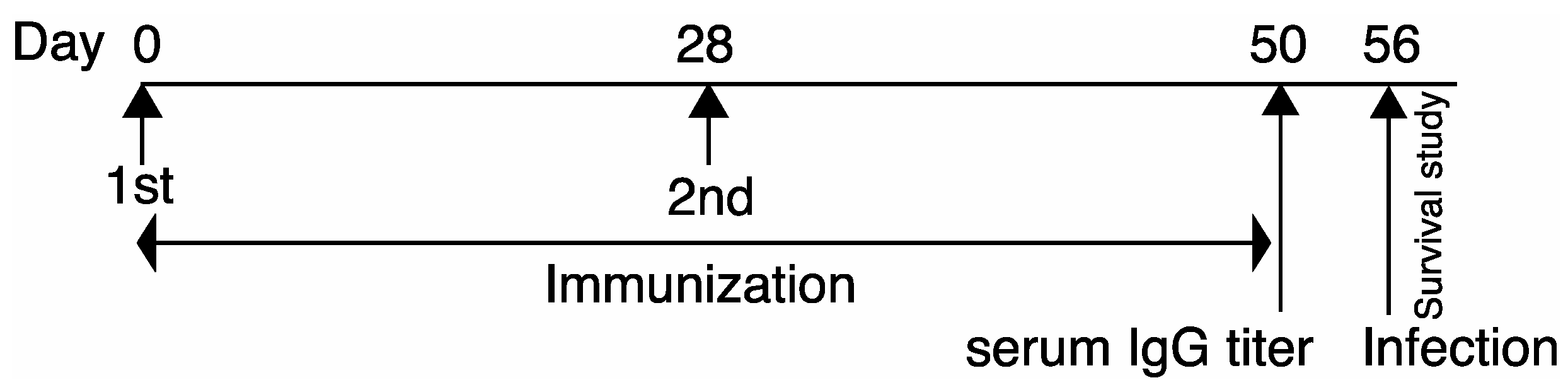 Vaccines 11 01088 g002