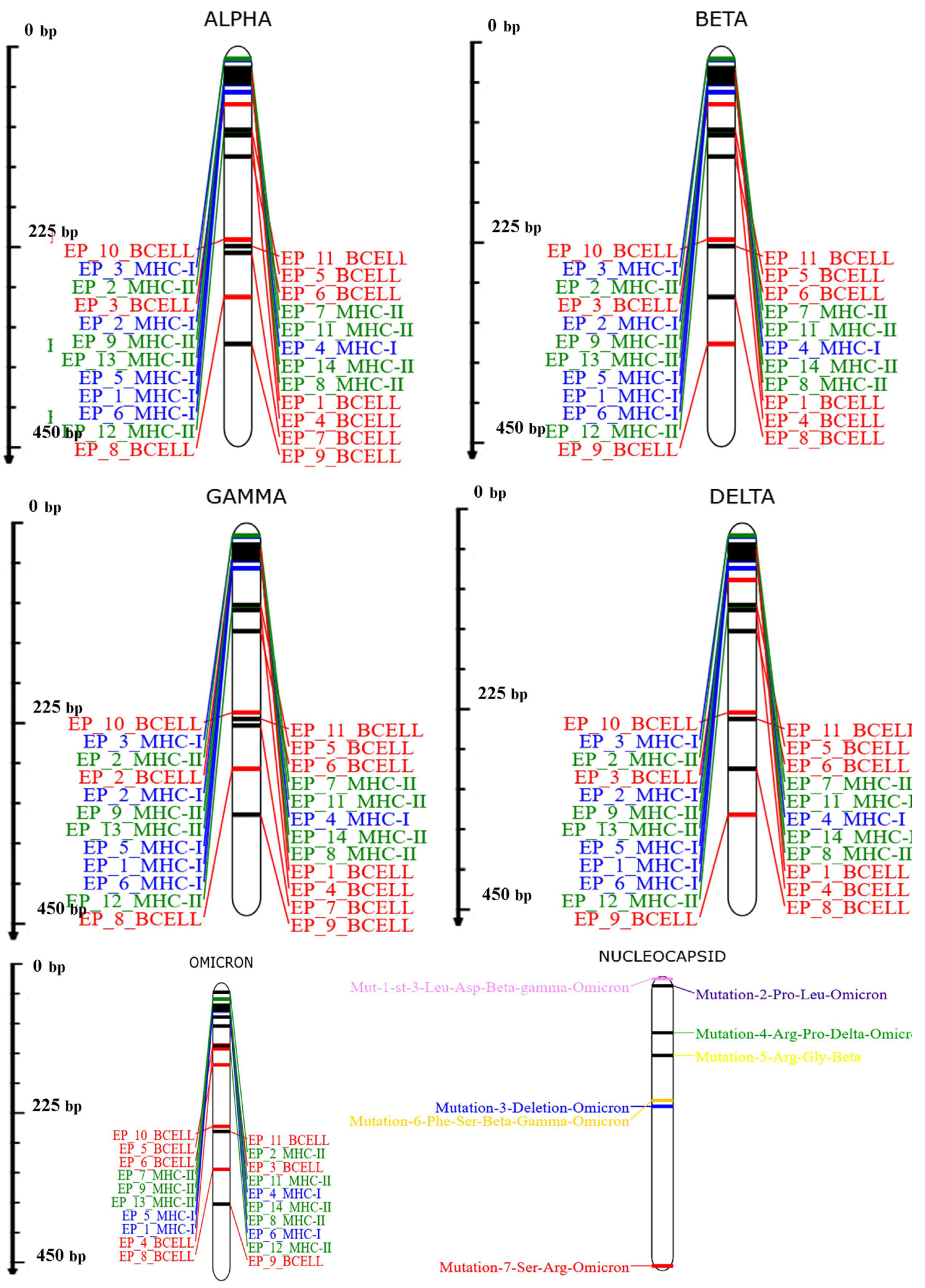Vaccines 11 01090 g001 Vaccines 11 01090 g001