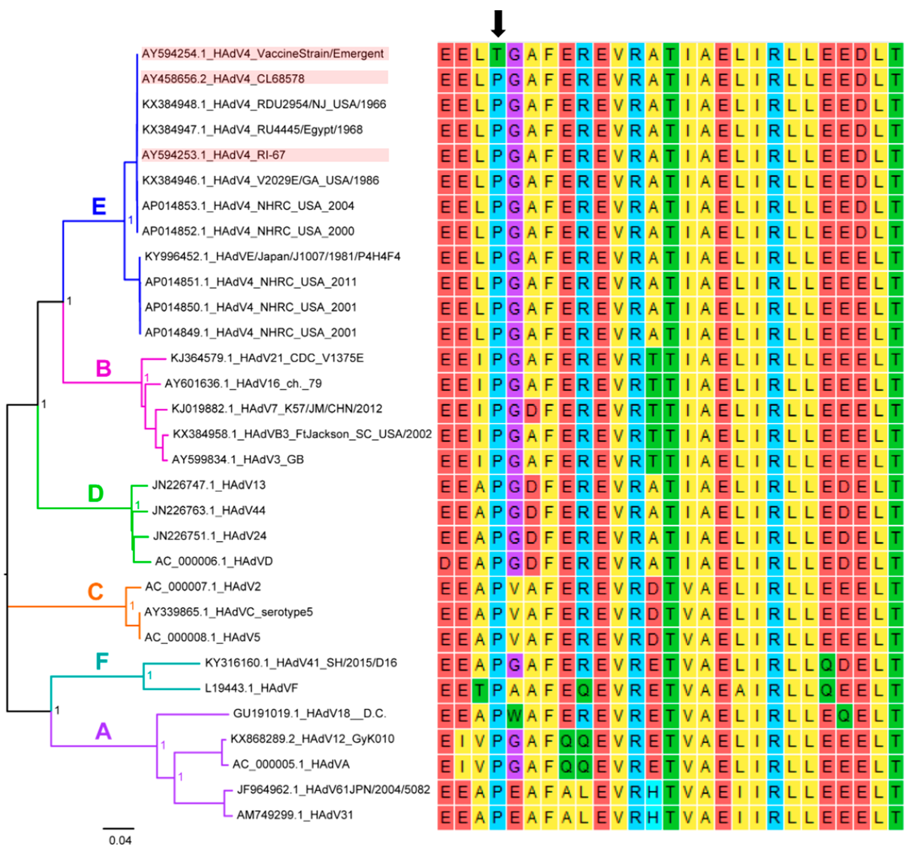 Vaccines 11 01091 g002 Vaccines 11 01091 g002