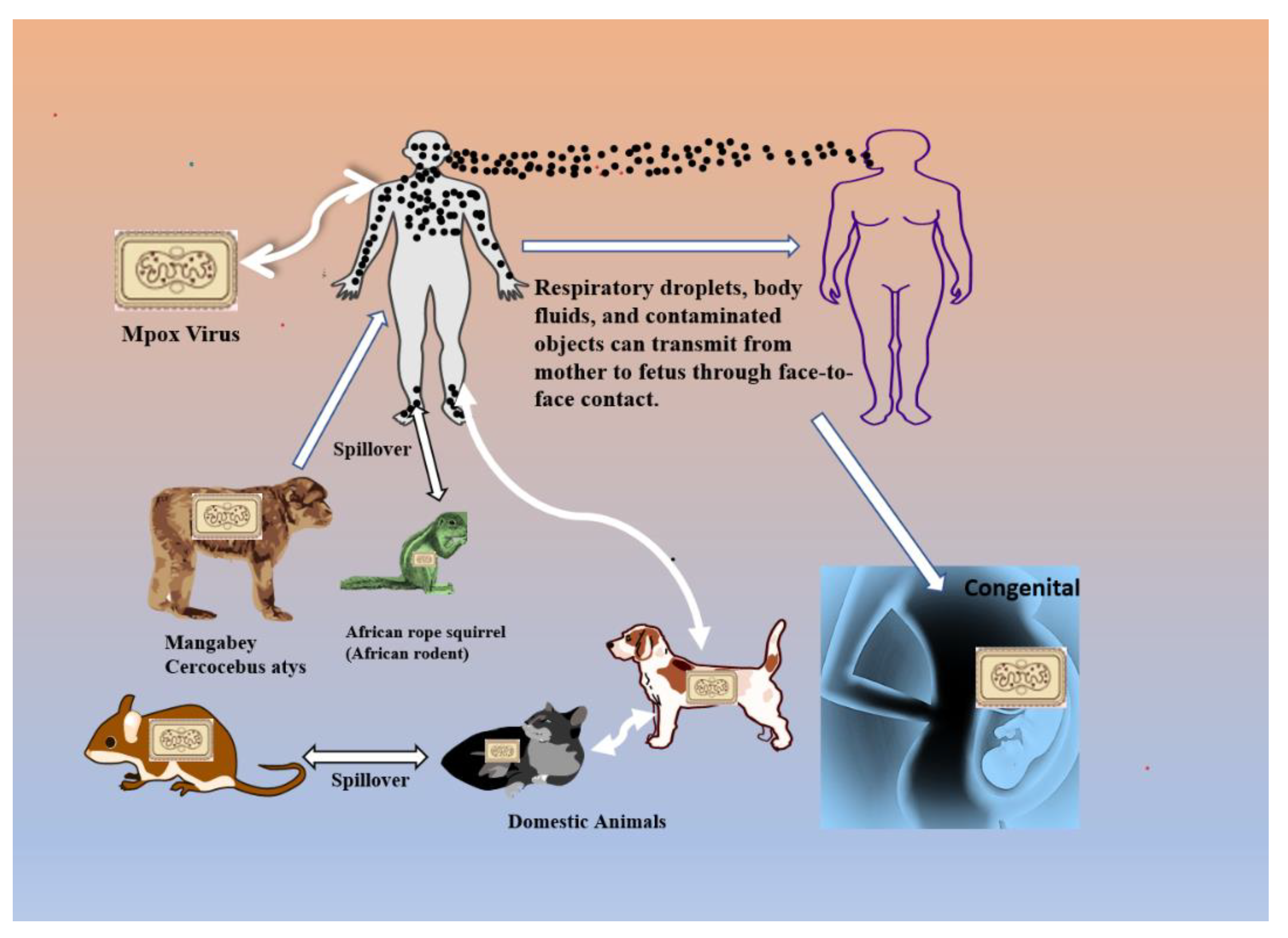 Evidence of human-to-dog transmission of monkeypox virus - The Lancet
