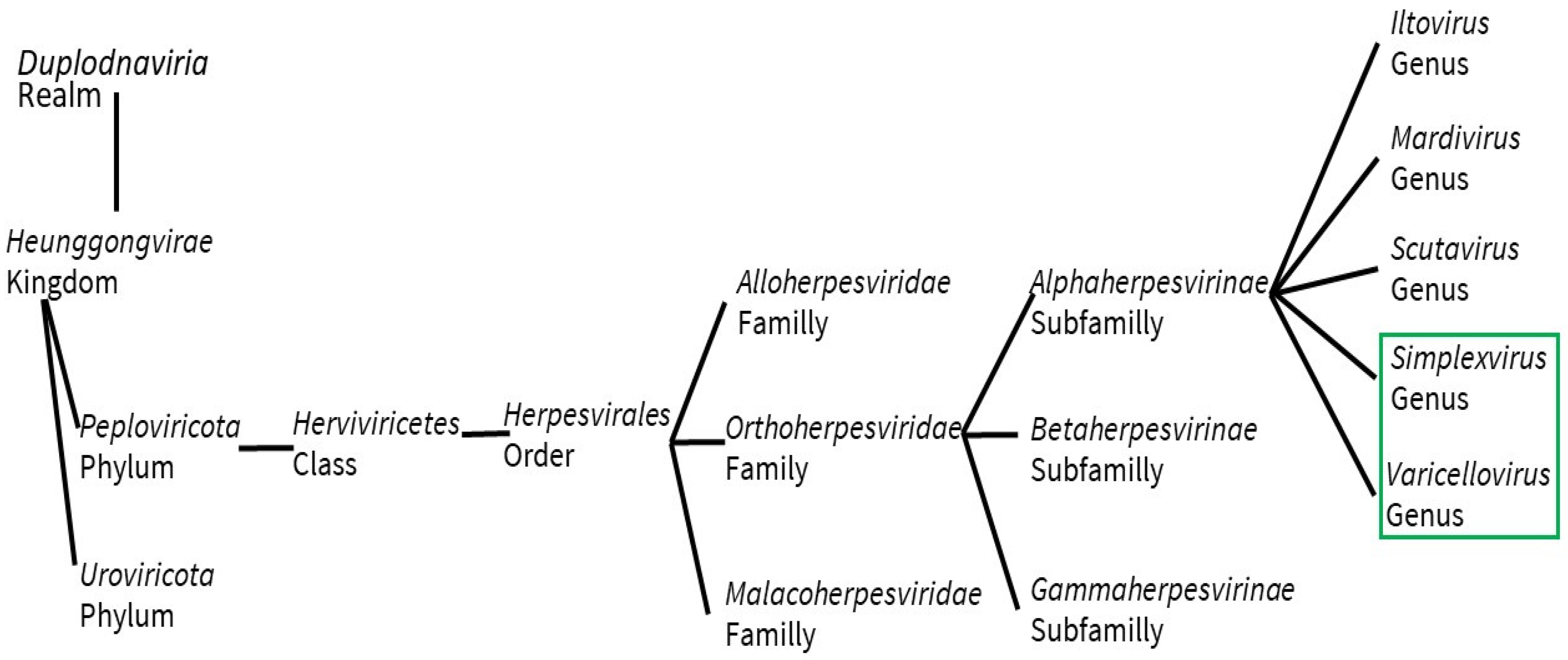 Vaccines 11 01094 g001