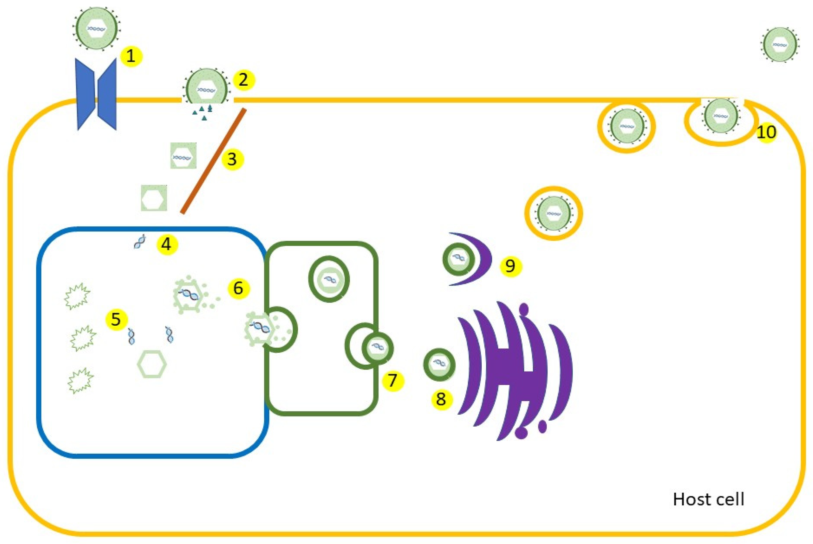 Vaccines 11 01094 g003