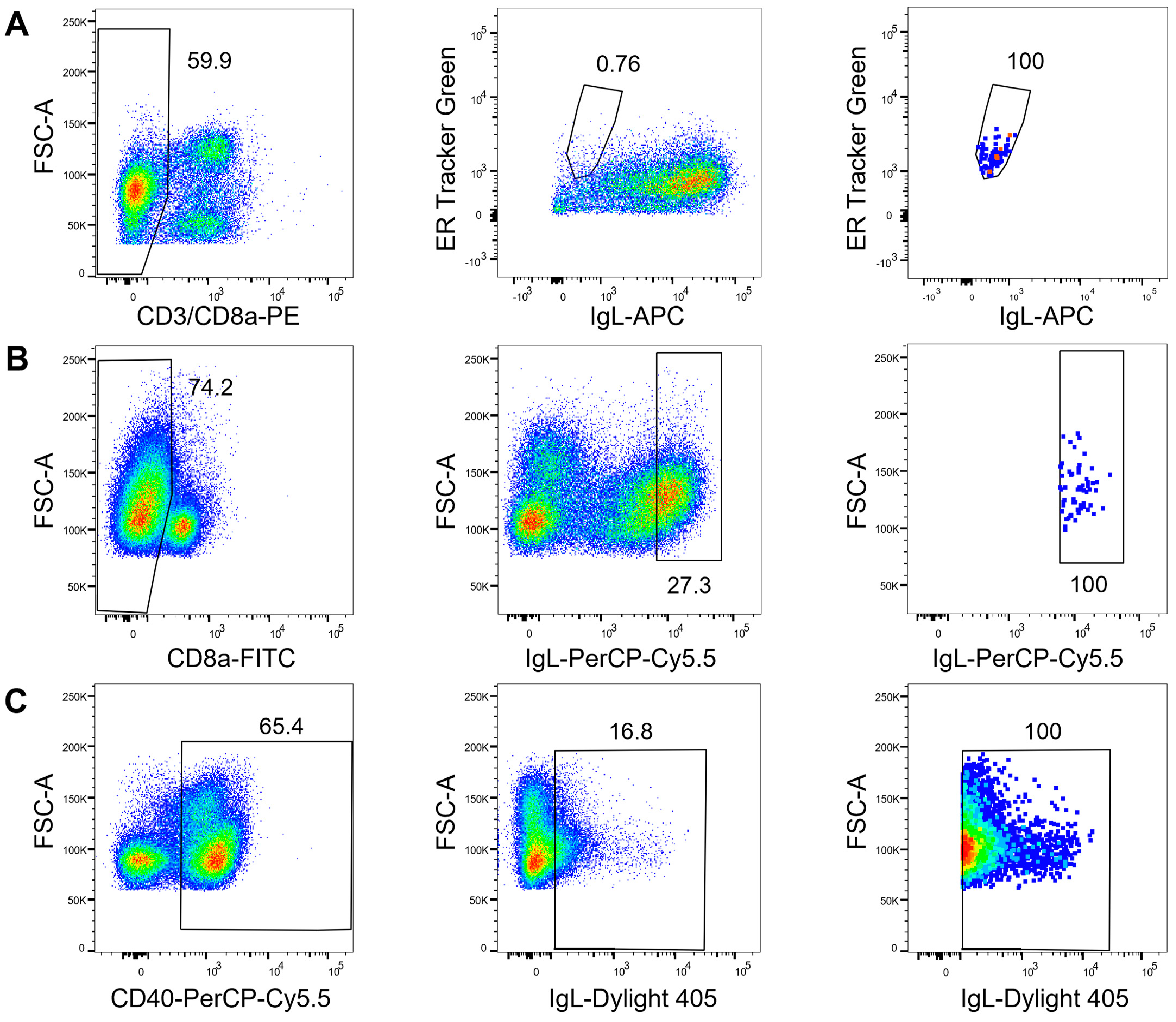 Vaccines 11 01099 g002