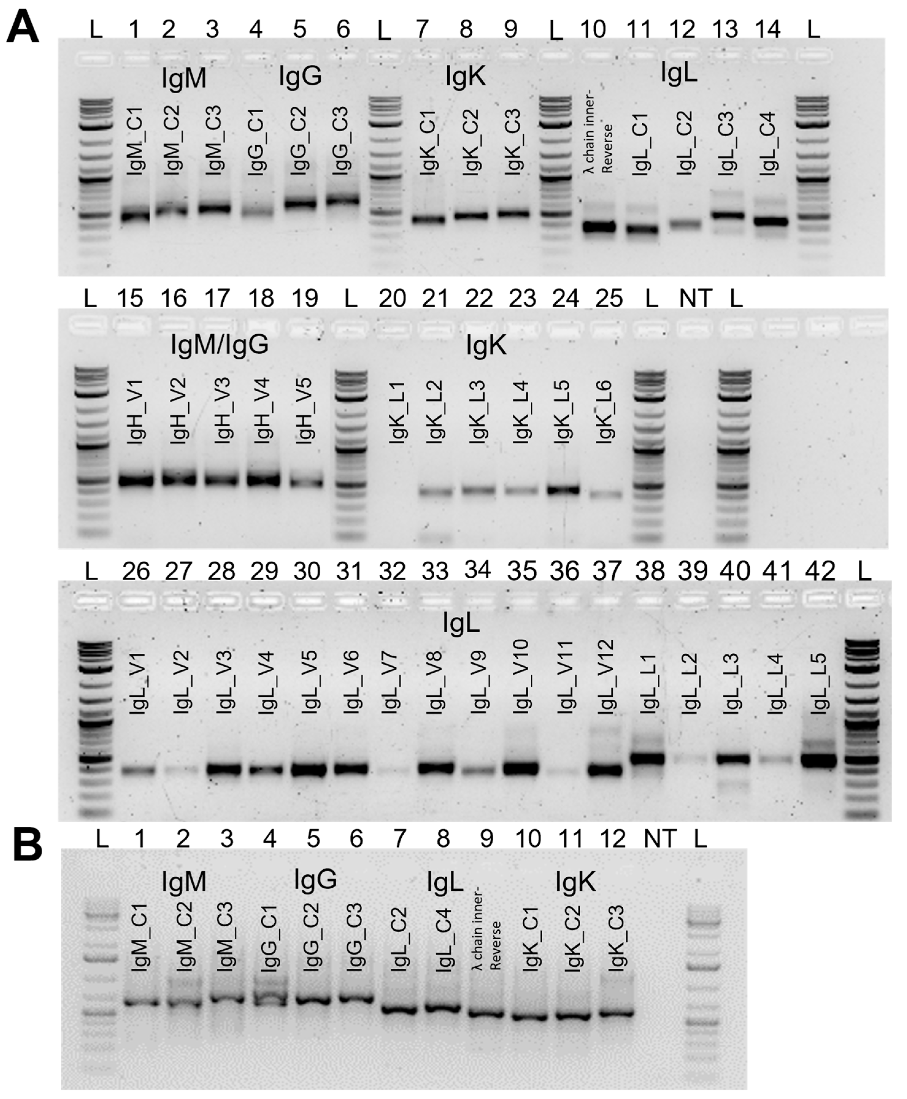 Vaccines 11 01099 g003