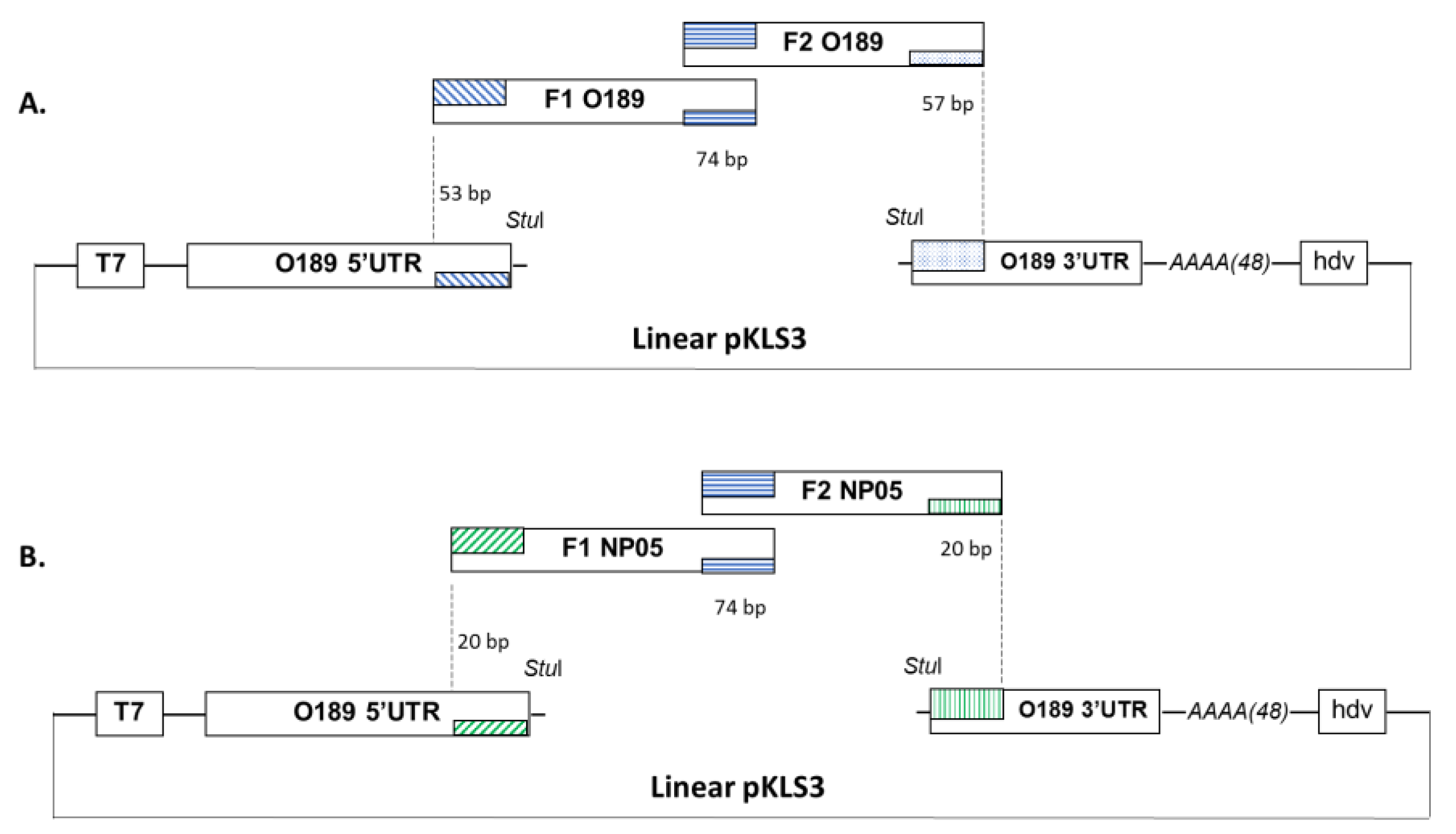 Vaccines 11 01111 g001