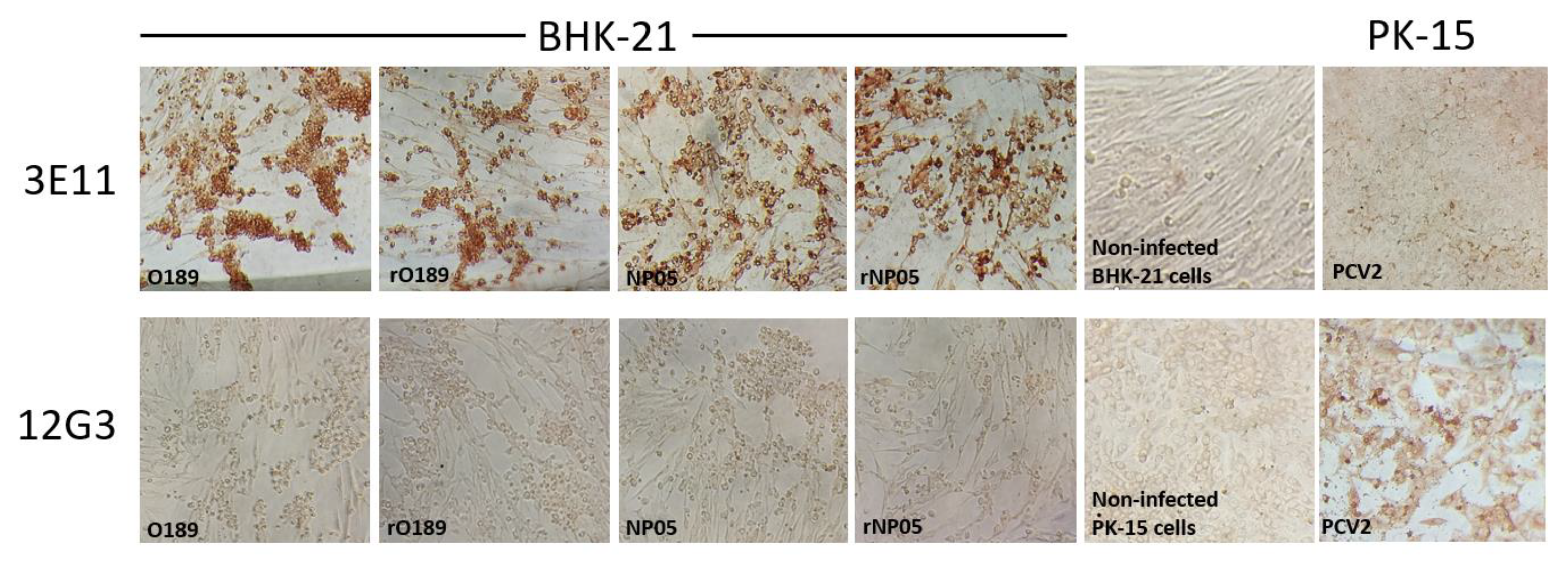 Vaccines 11 01111 g006