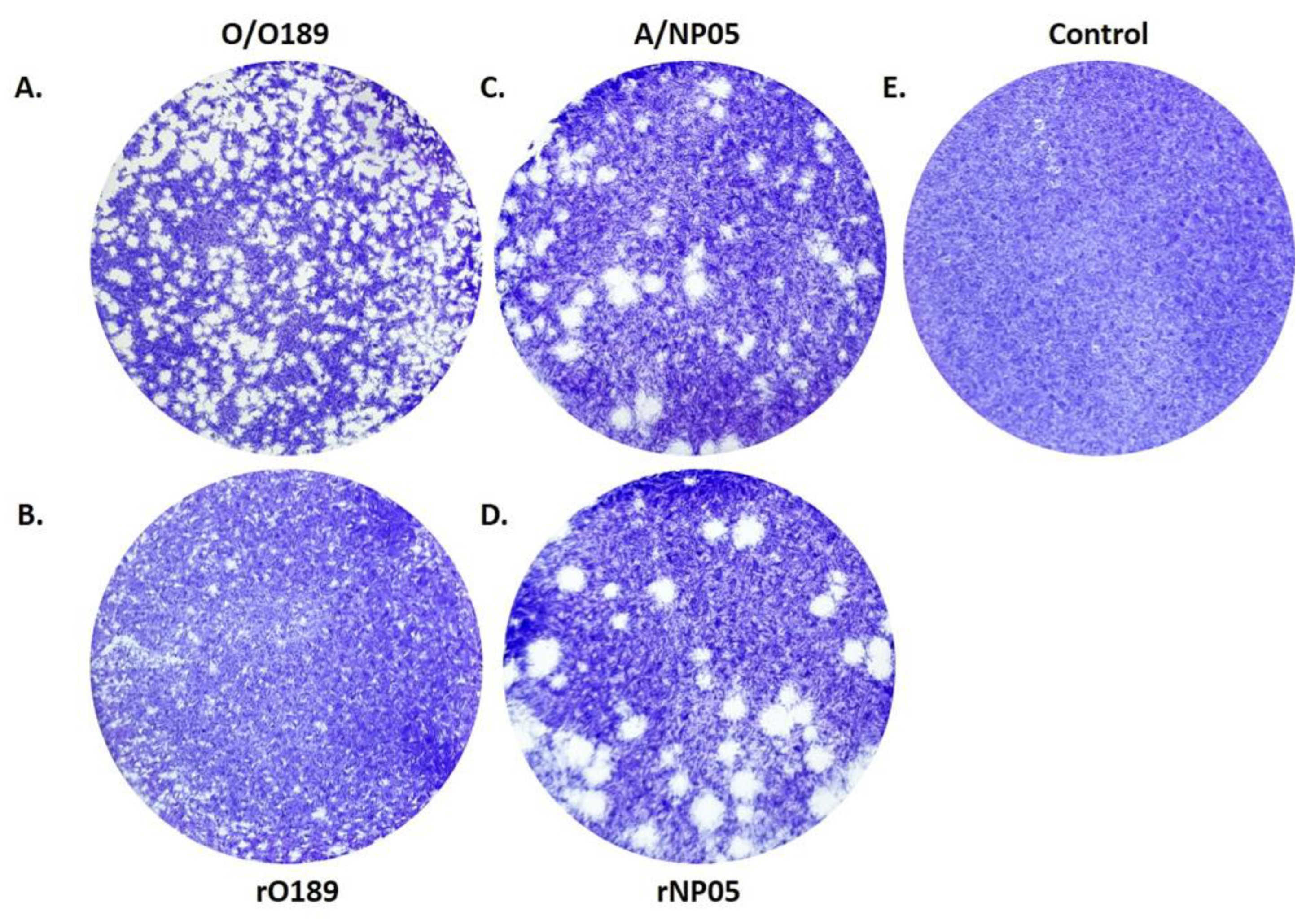 Vaccines 11 01111 g007