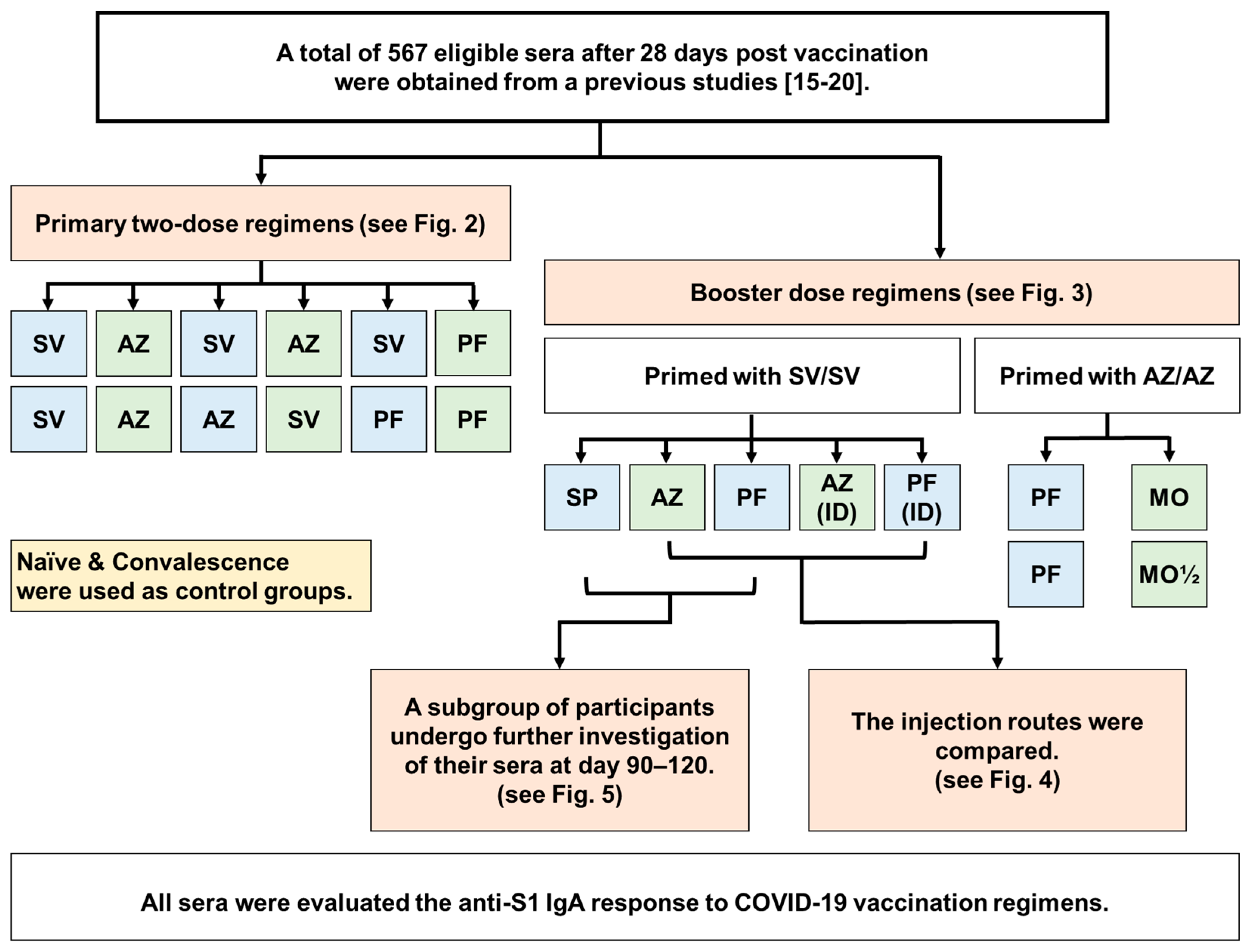 Vaccines 11 01117 g001