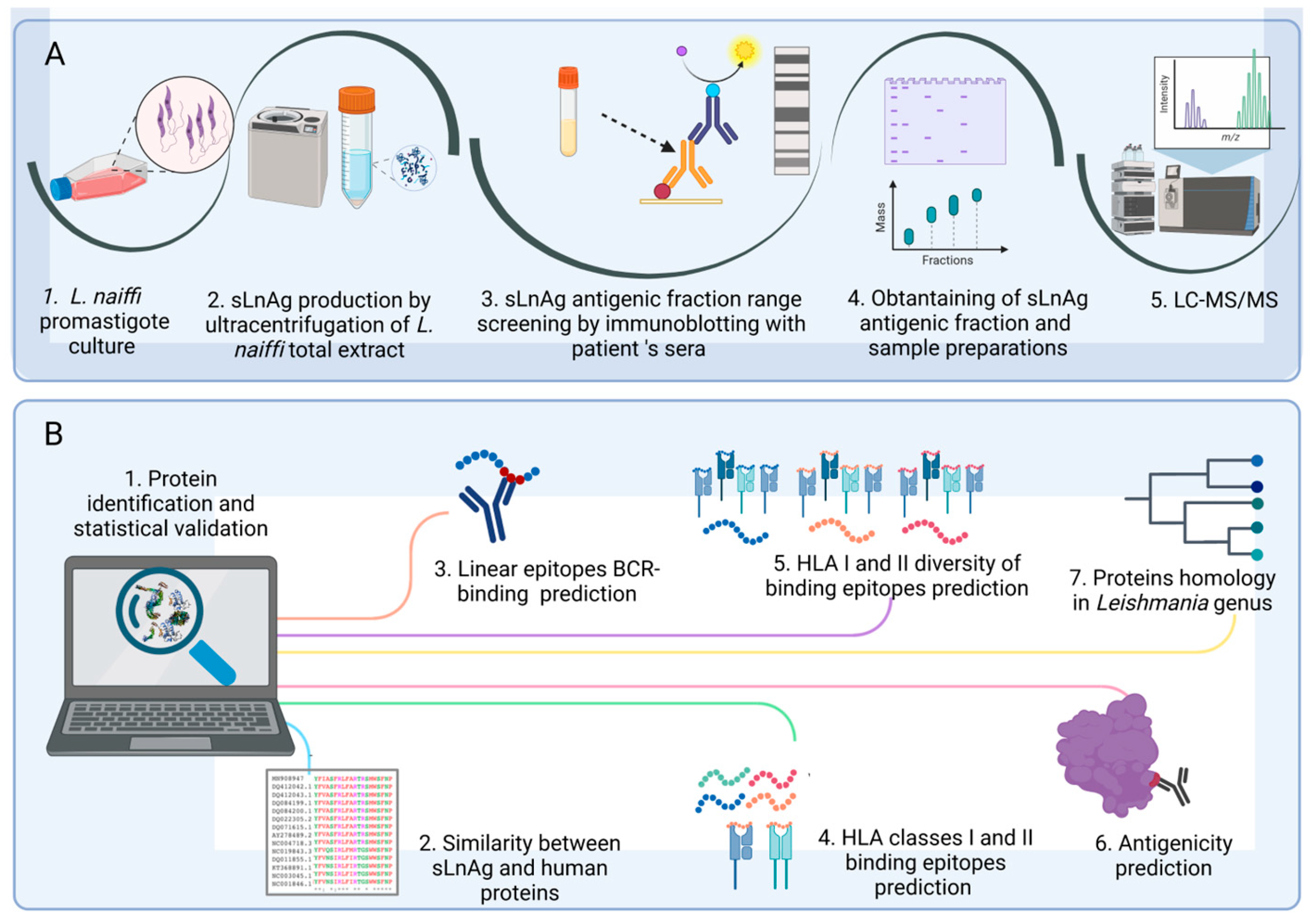 Vaccines 11 01129 g001