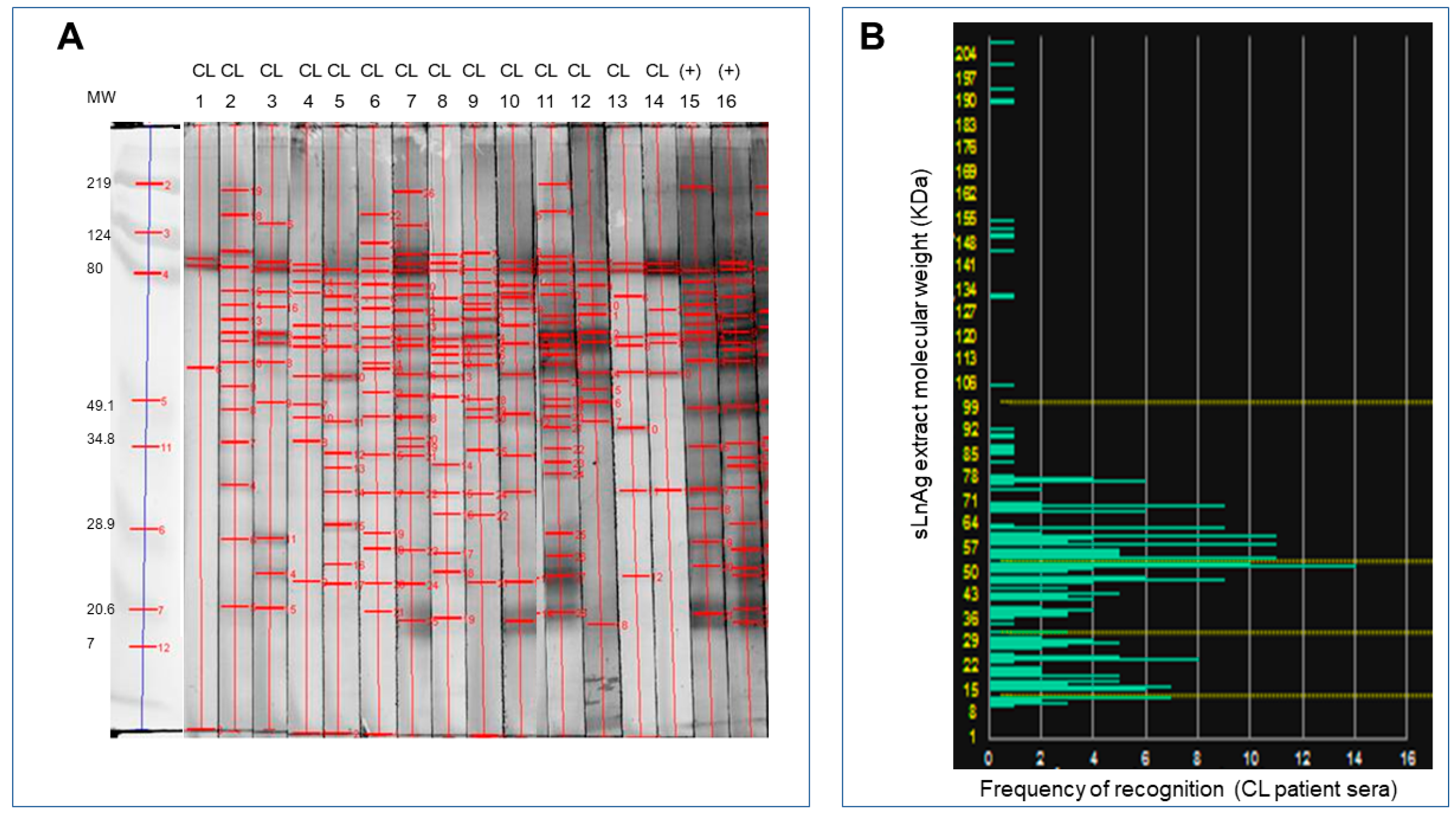 Vaccines 11 01129 g002
