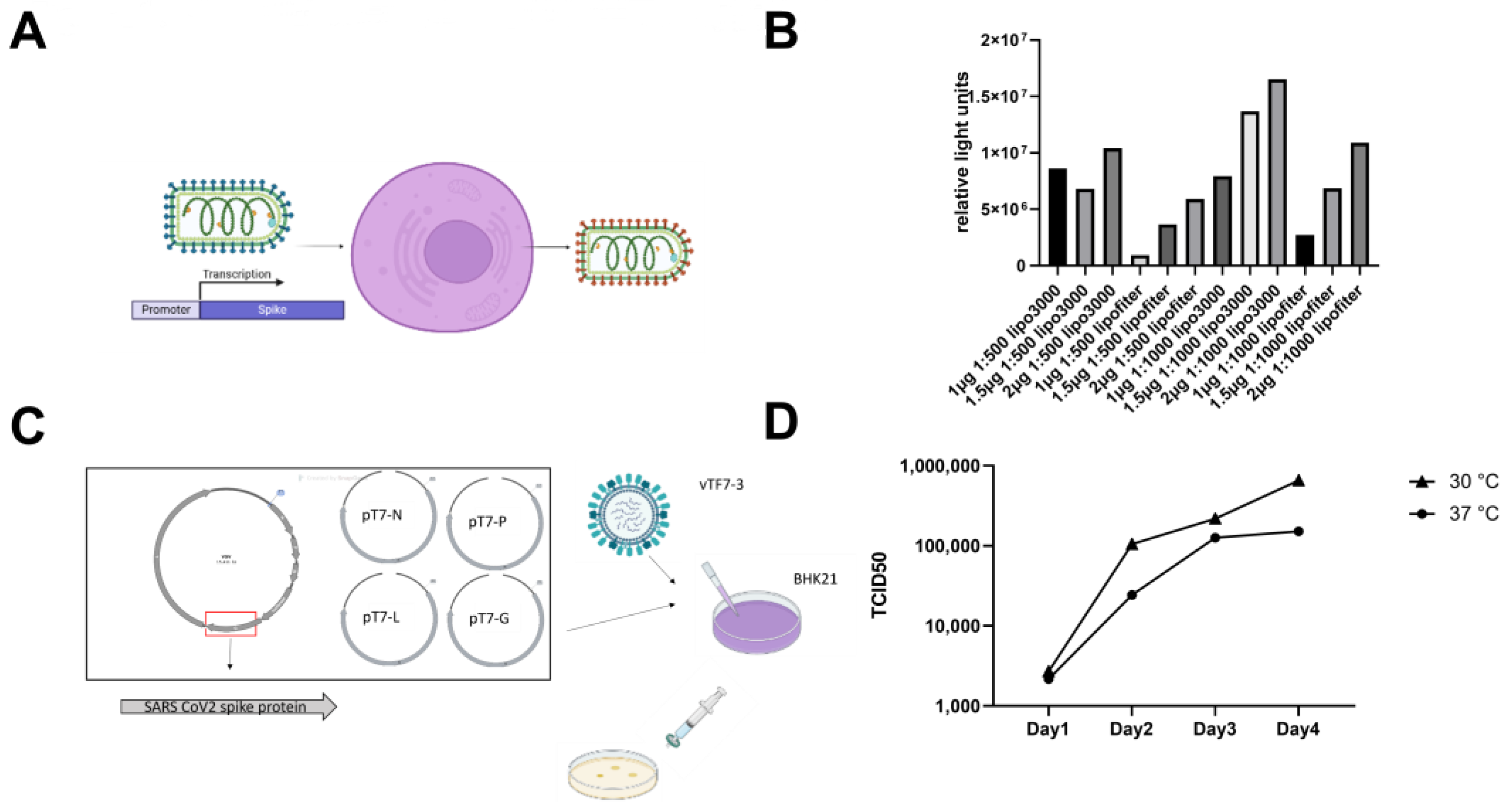 Vaccines 11 01133 g001 Vaccines 11 01133 g001