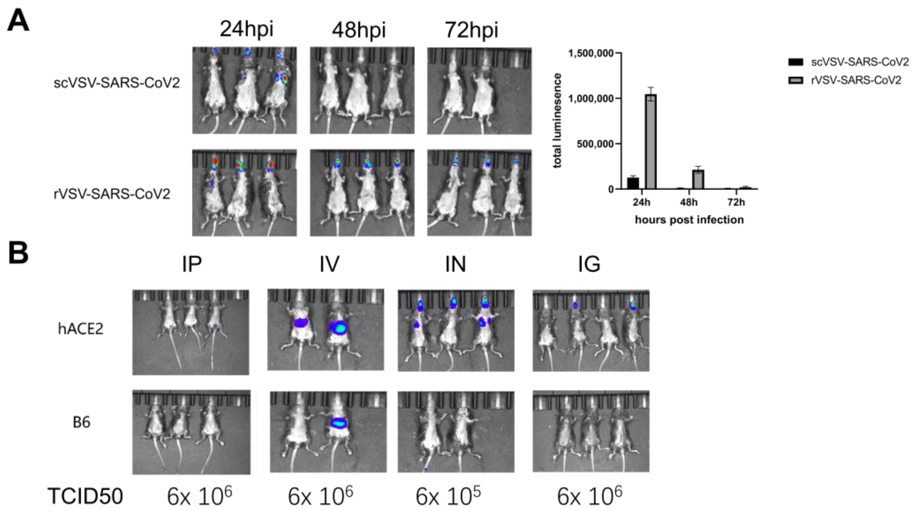 Vaccines 11 01133 g002 Vaccines 11 01133 g002