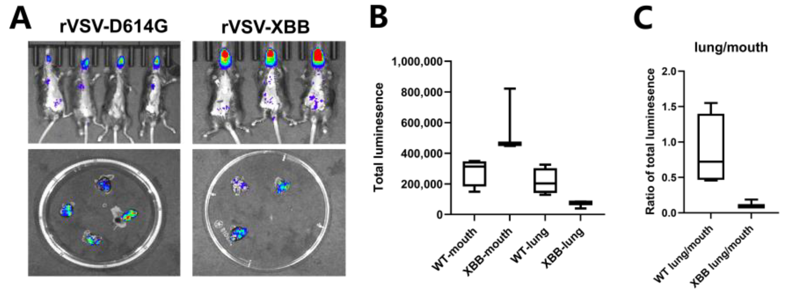Vaccines 11 01133 g004 Vaccines 11 01133 g004