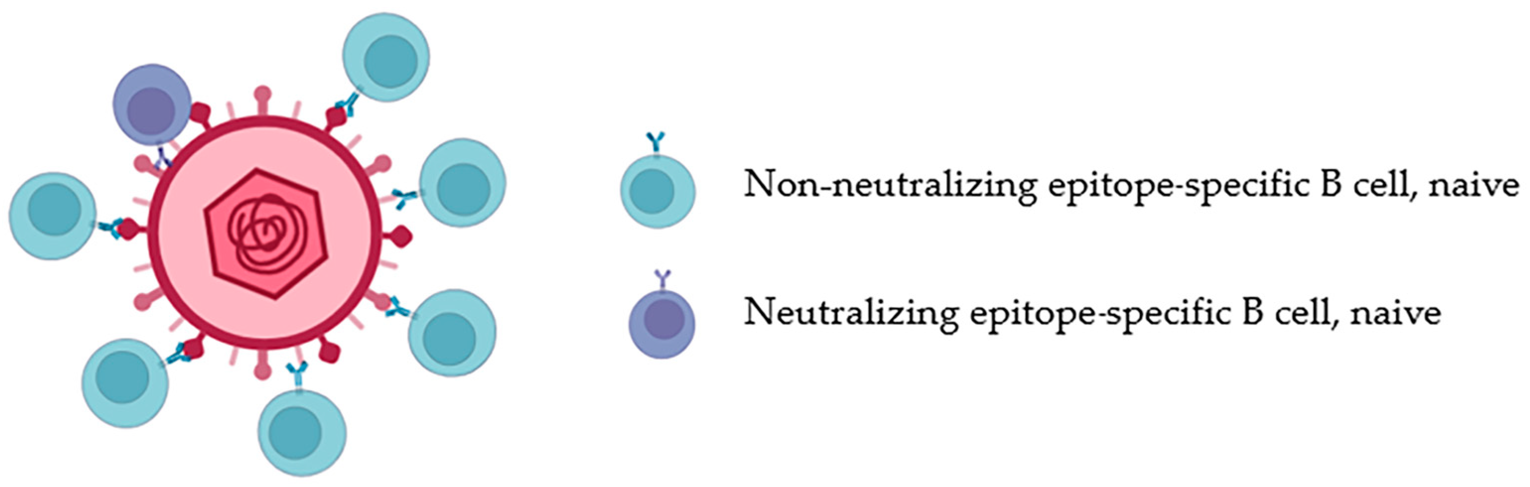 Vaccines 11 01143 g002 Vaccines 11 01143 g002