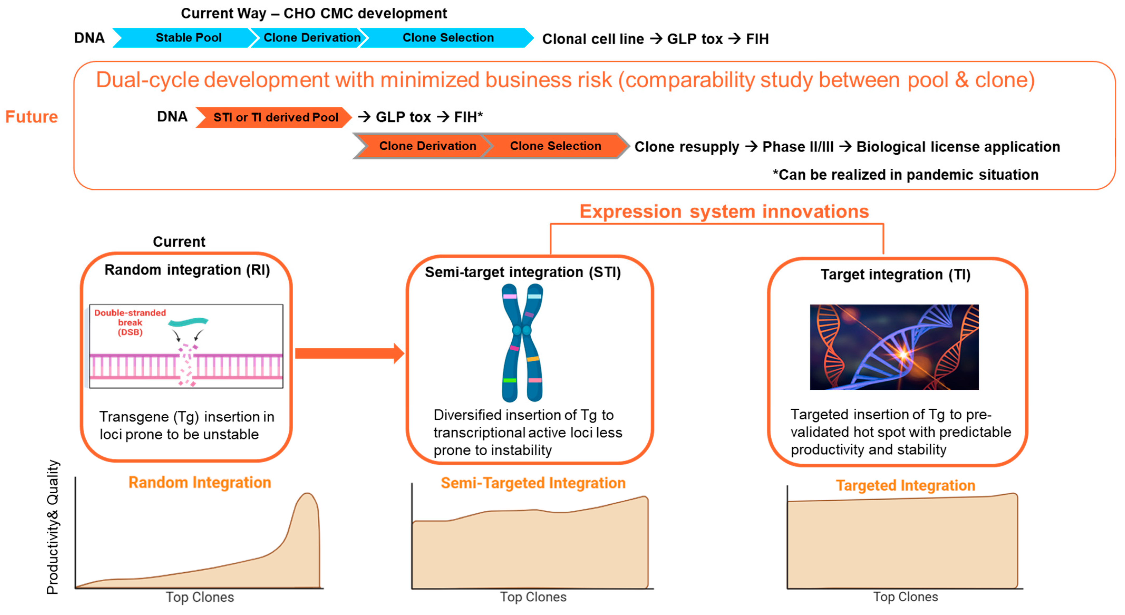 Vaccines 11 01153 g006