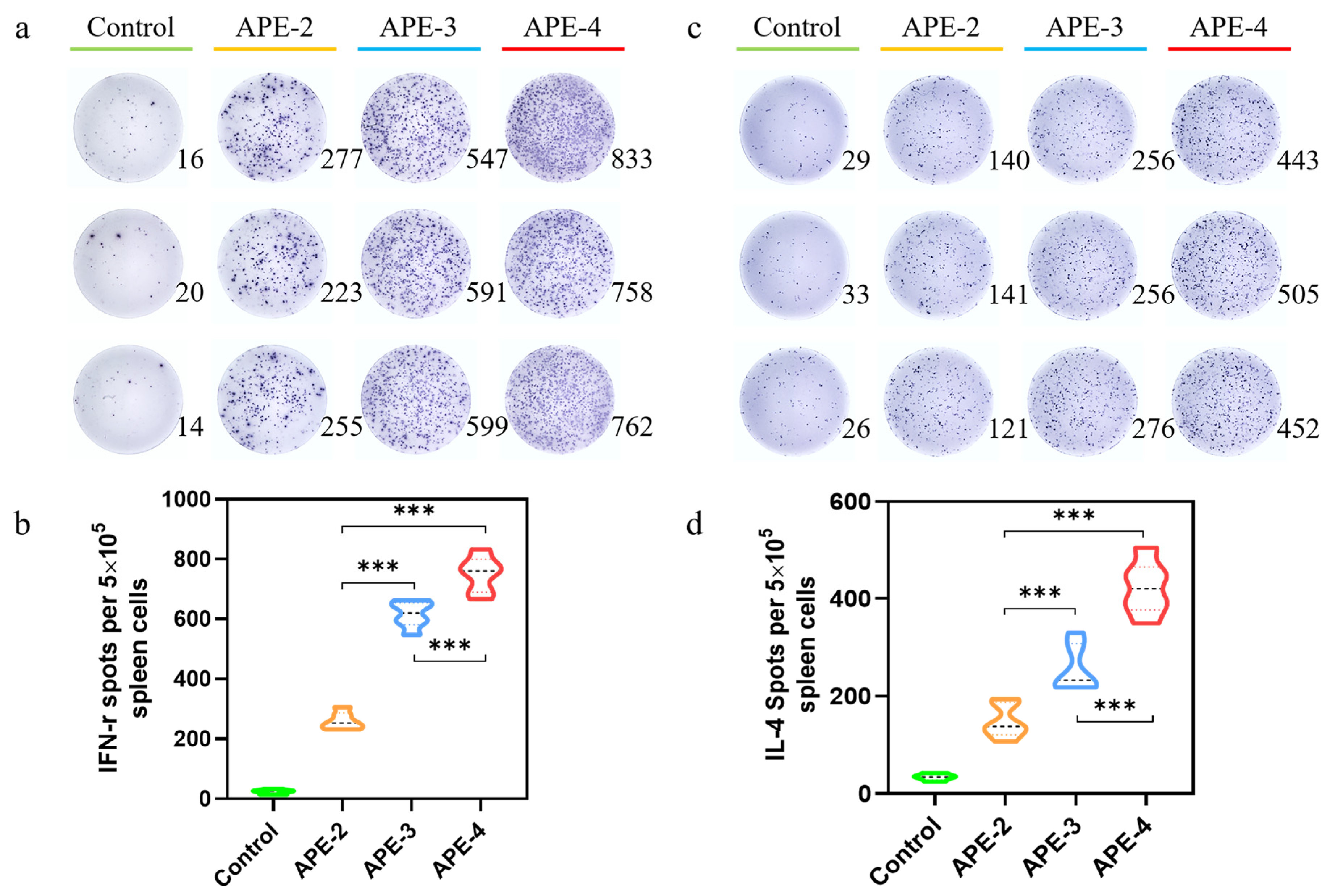 Vaccines 11 01169 g002 Vaccines 11 01169 g002