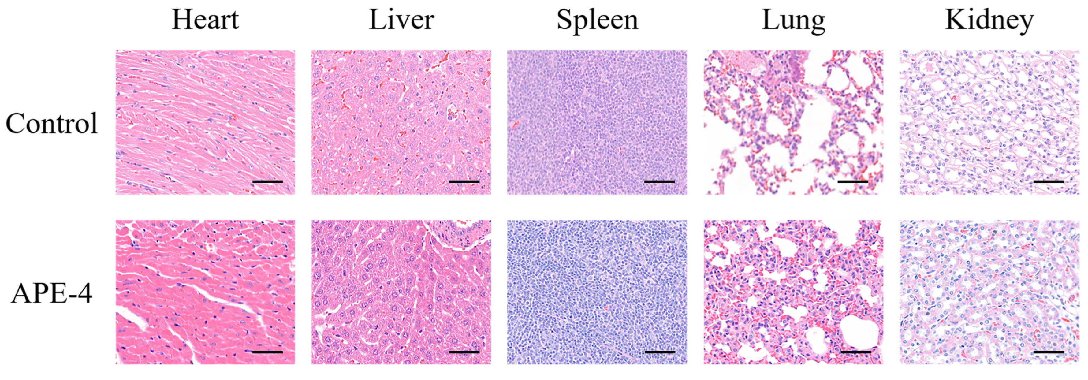 Vaccines 11 01169 g005 Vaccines 11 01169 g005