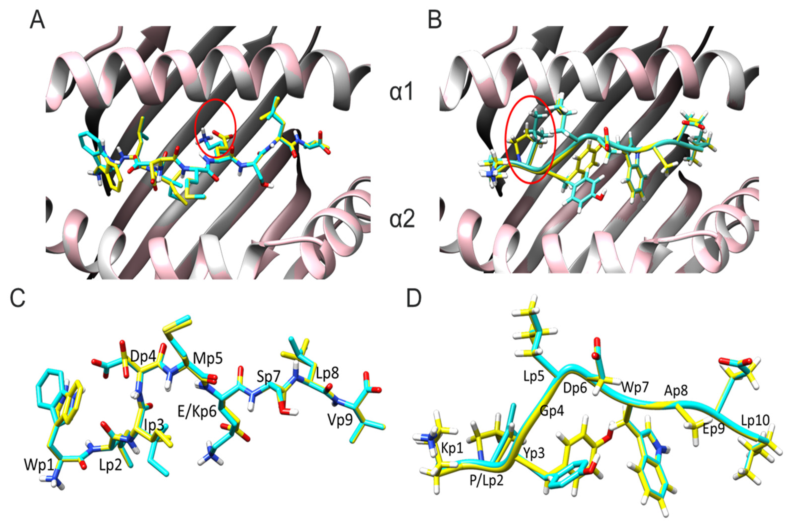 Vaccines 11 01174 g001 Vaccines 11 01174 g001