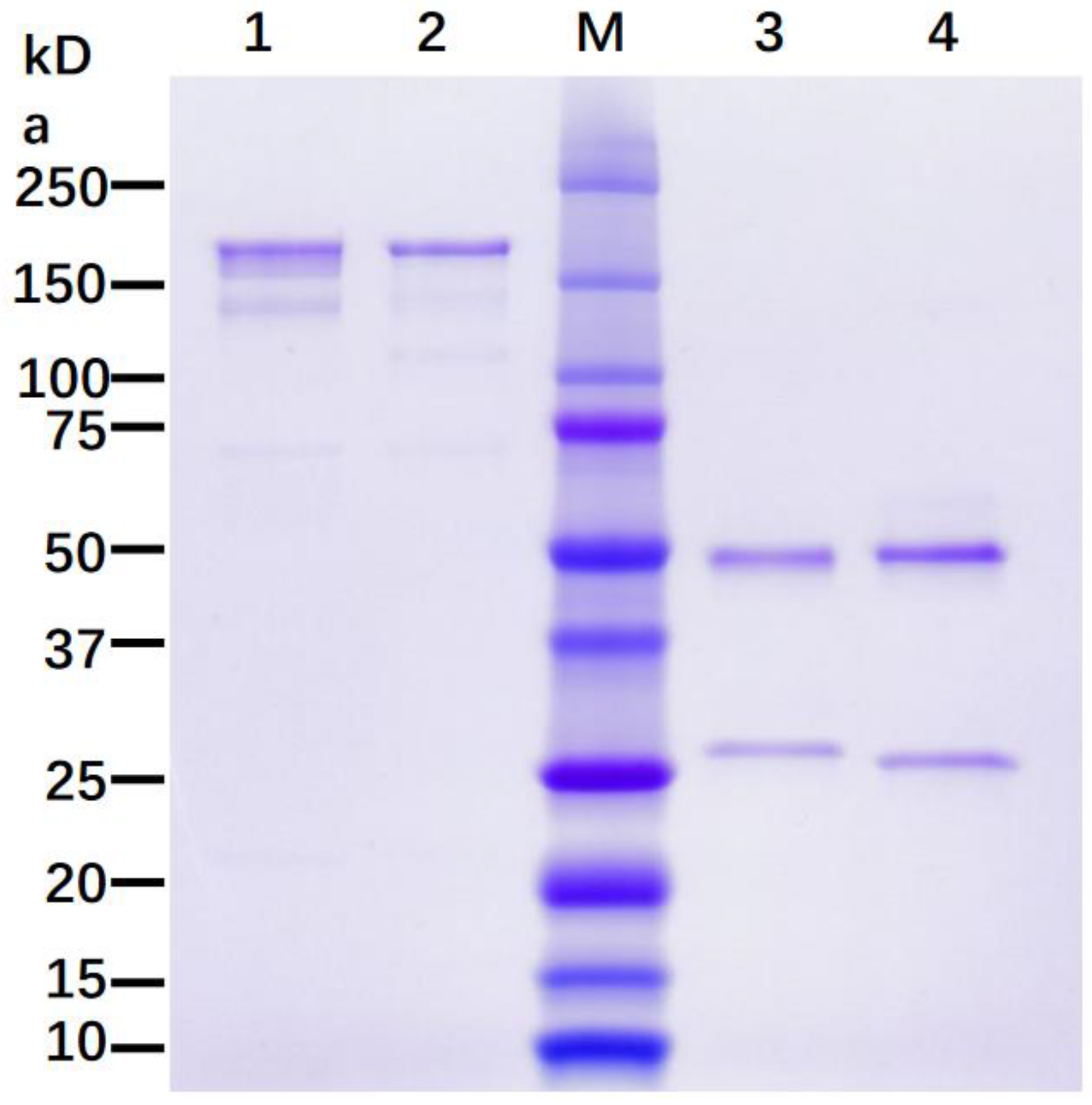 Vaccines 11 01179 g002