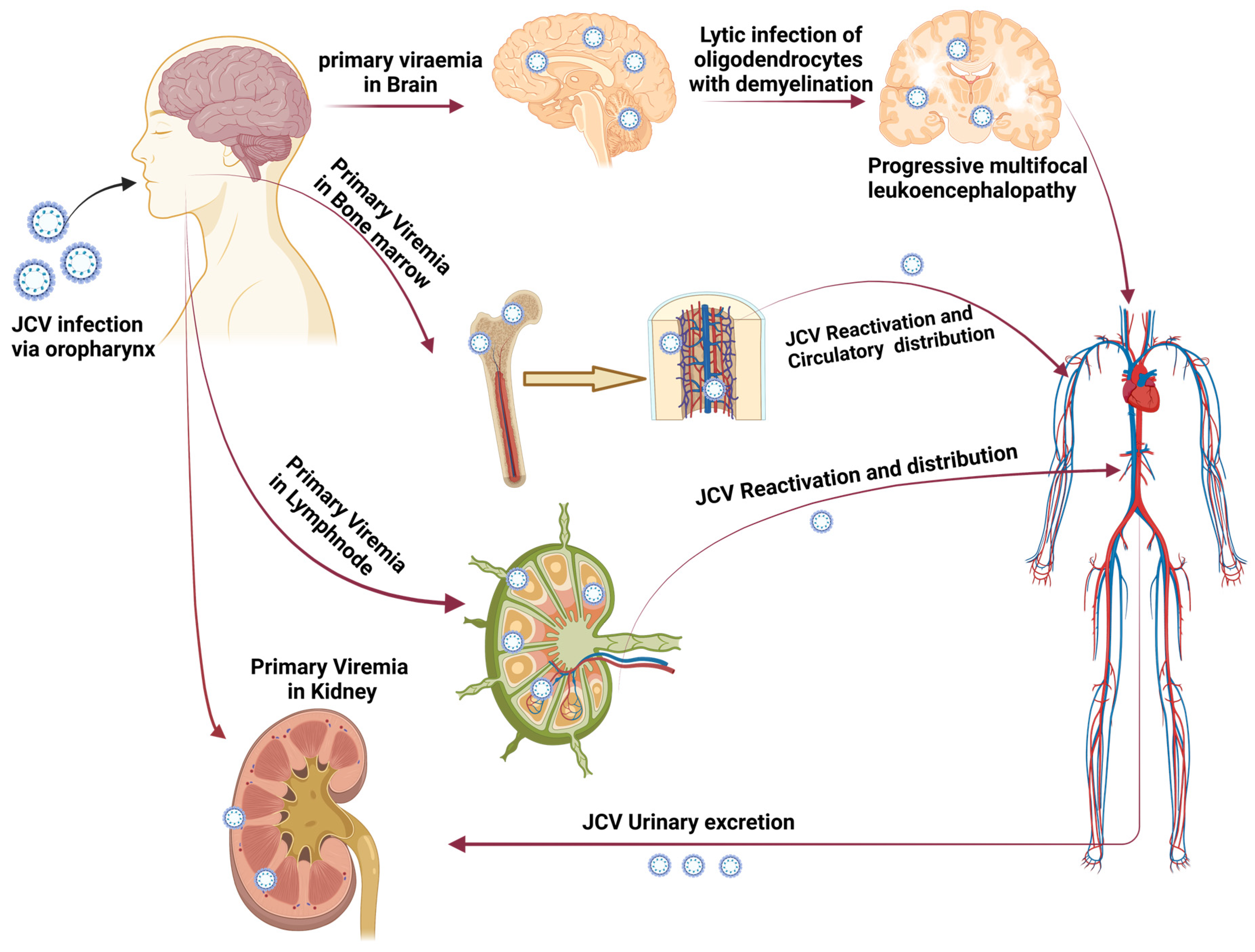 Vaccines 11 01182 g001 Vaccines 11 01182 g001