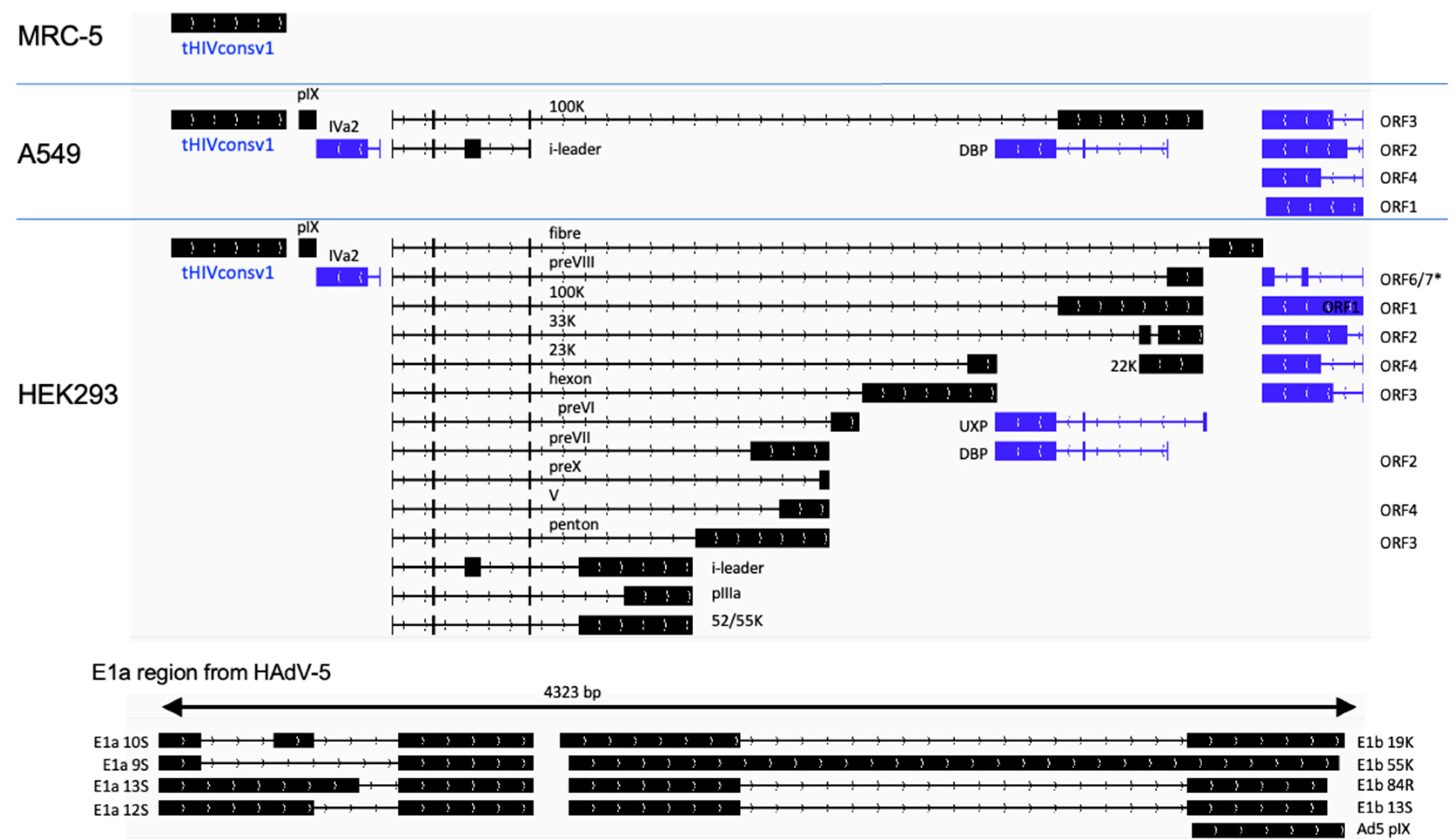 Vaccines 11 01187 g002 Vaccines 11 01187 g002