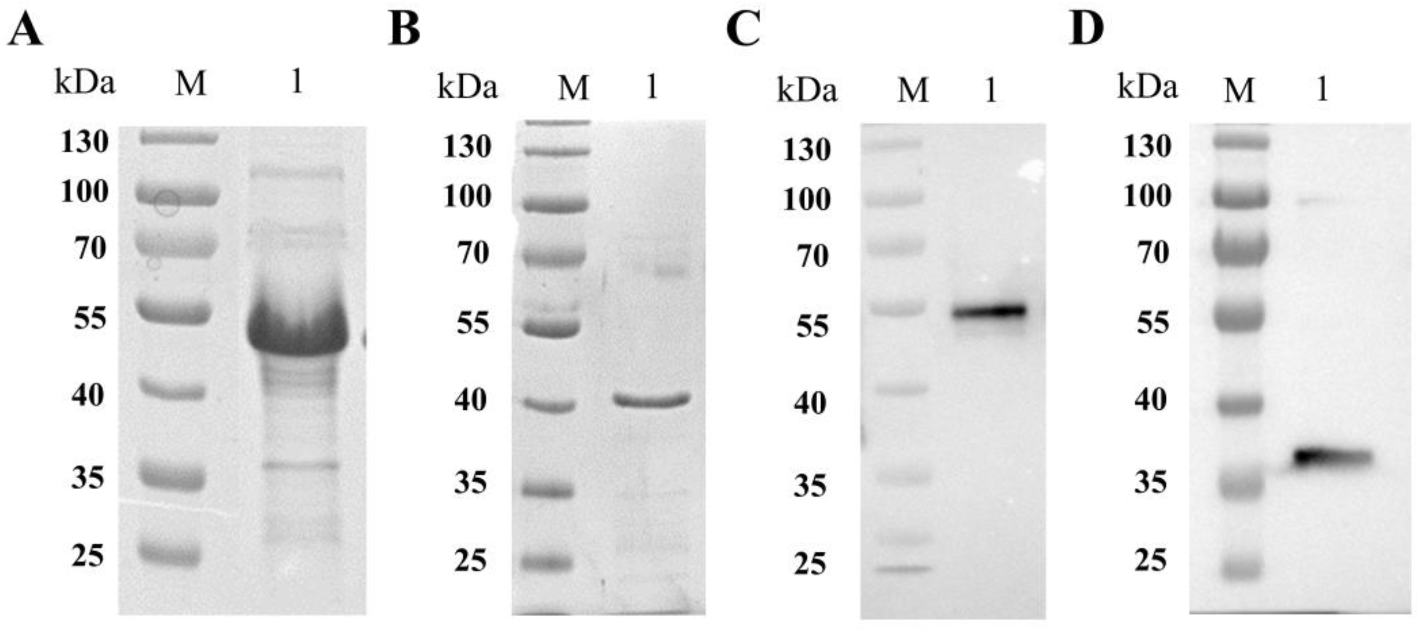 Vaccines 11 01190 g002