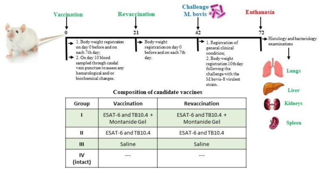 Vaccines 11 01199 g001 Vaccines 11 01199 g001