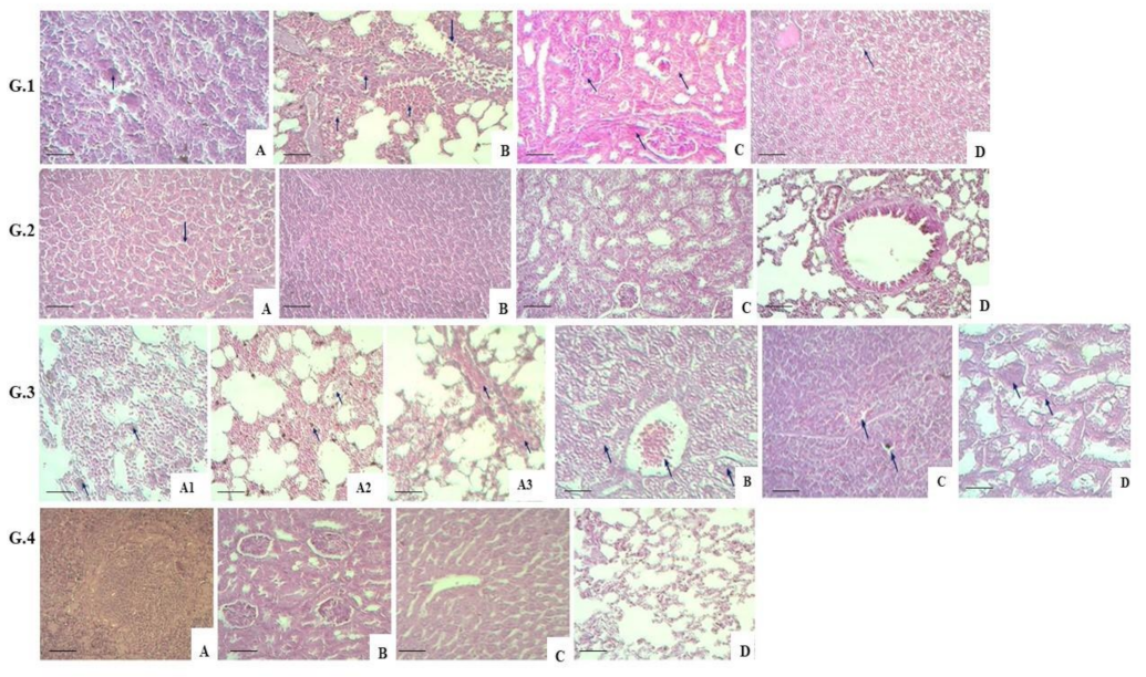 Vaccines 11 01199 g003 Vaccines 11 01199 g003