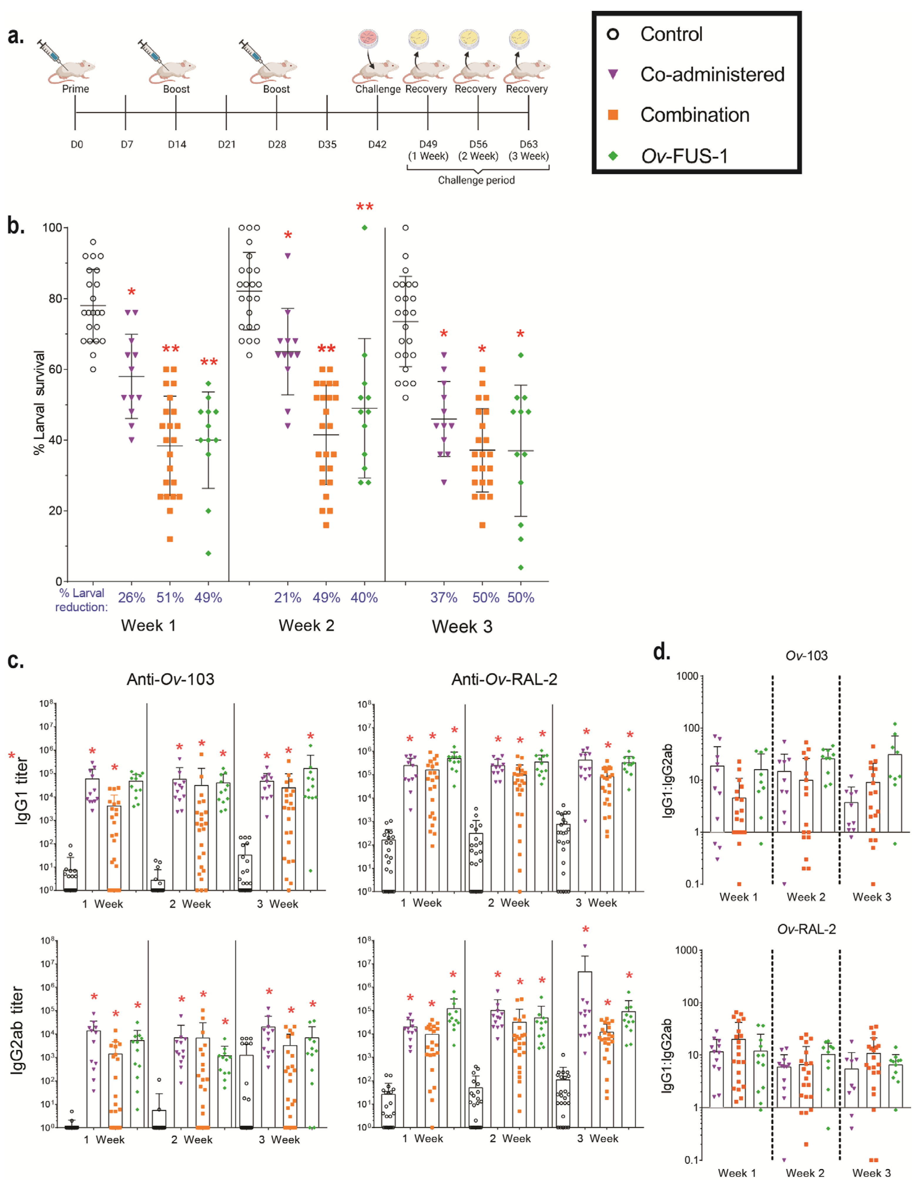 Vaccines 11 01212 g001 Vaccines 11 01212 g001