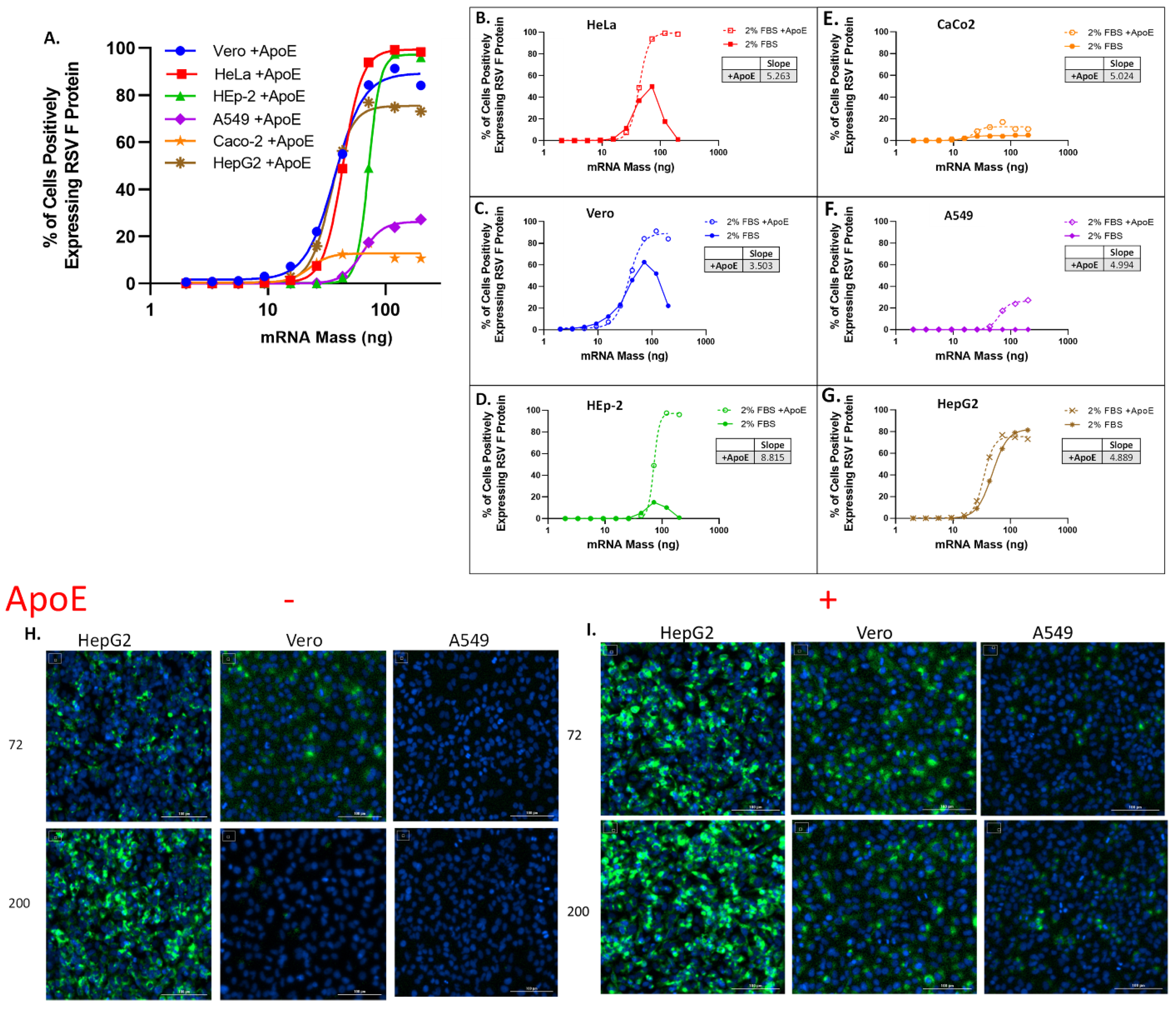 Vaccines 11 01224 g001 Vaccines 11 01224 g001