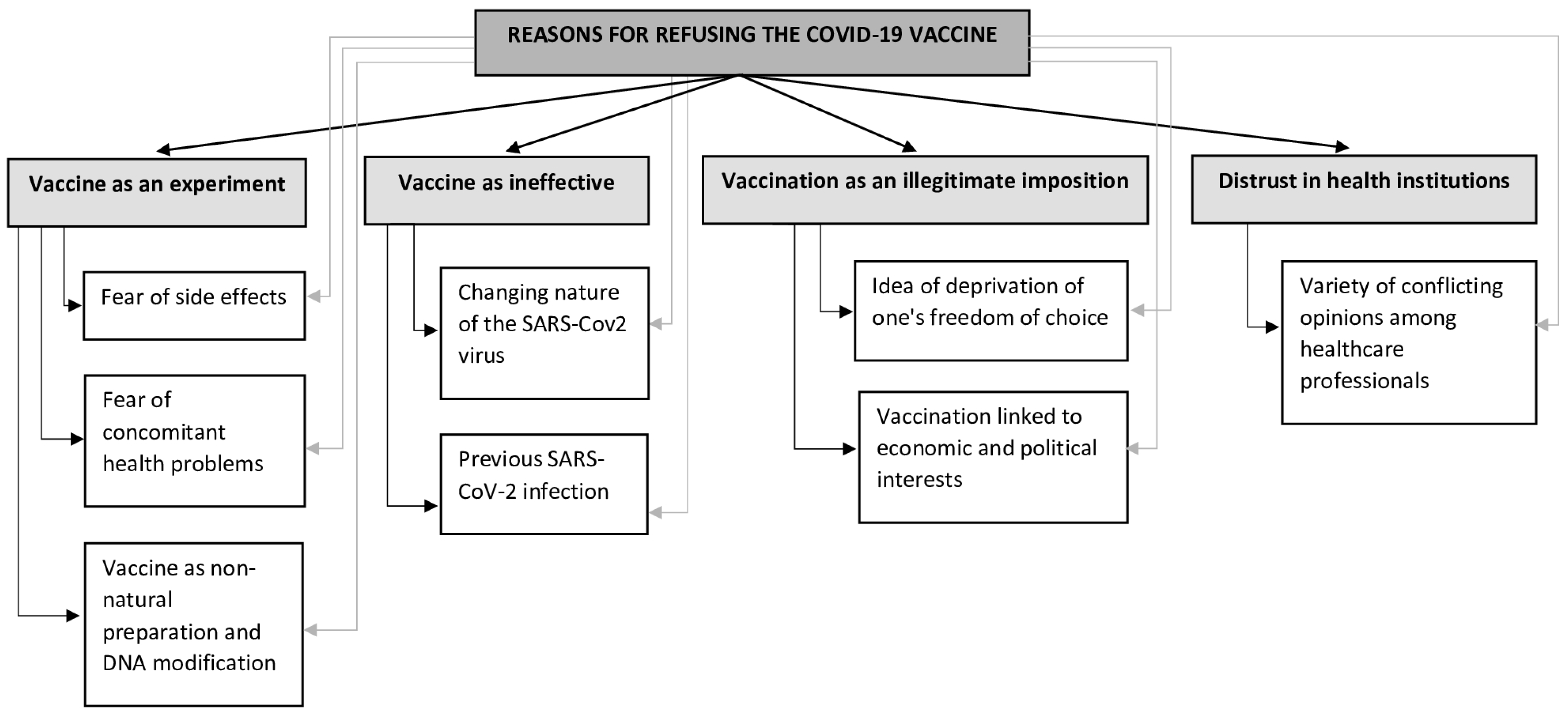 Vaccines 11 01239 g002 Vaccines 11 01239 g002