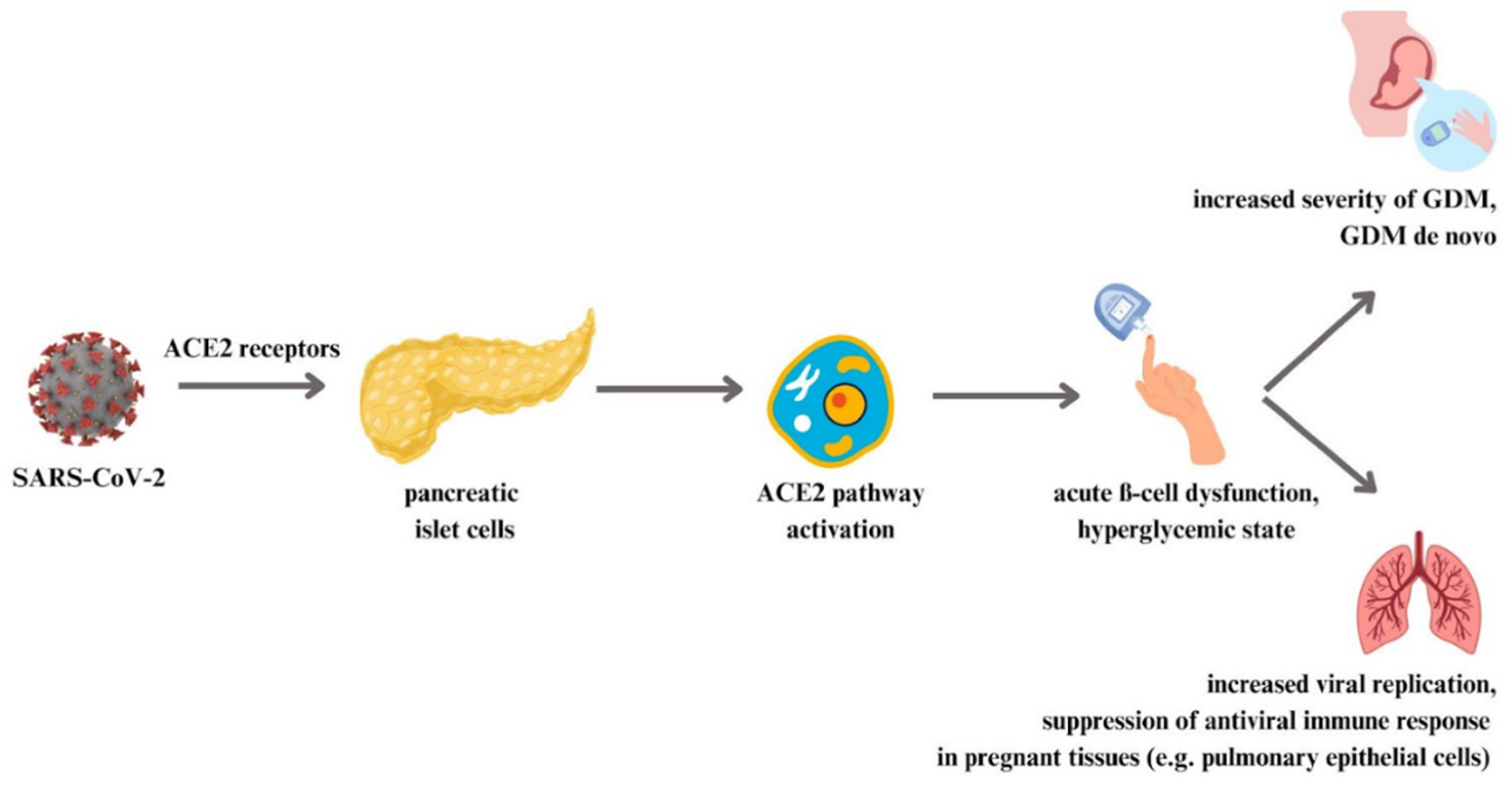 Vaccines 11 01247 g002